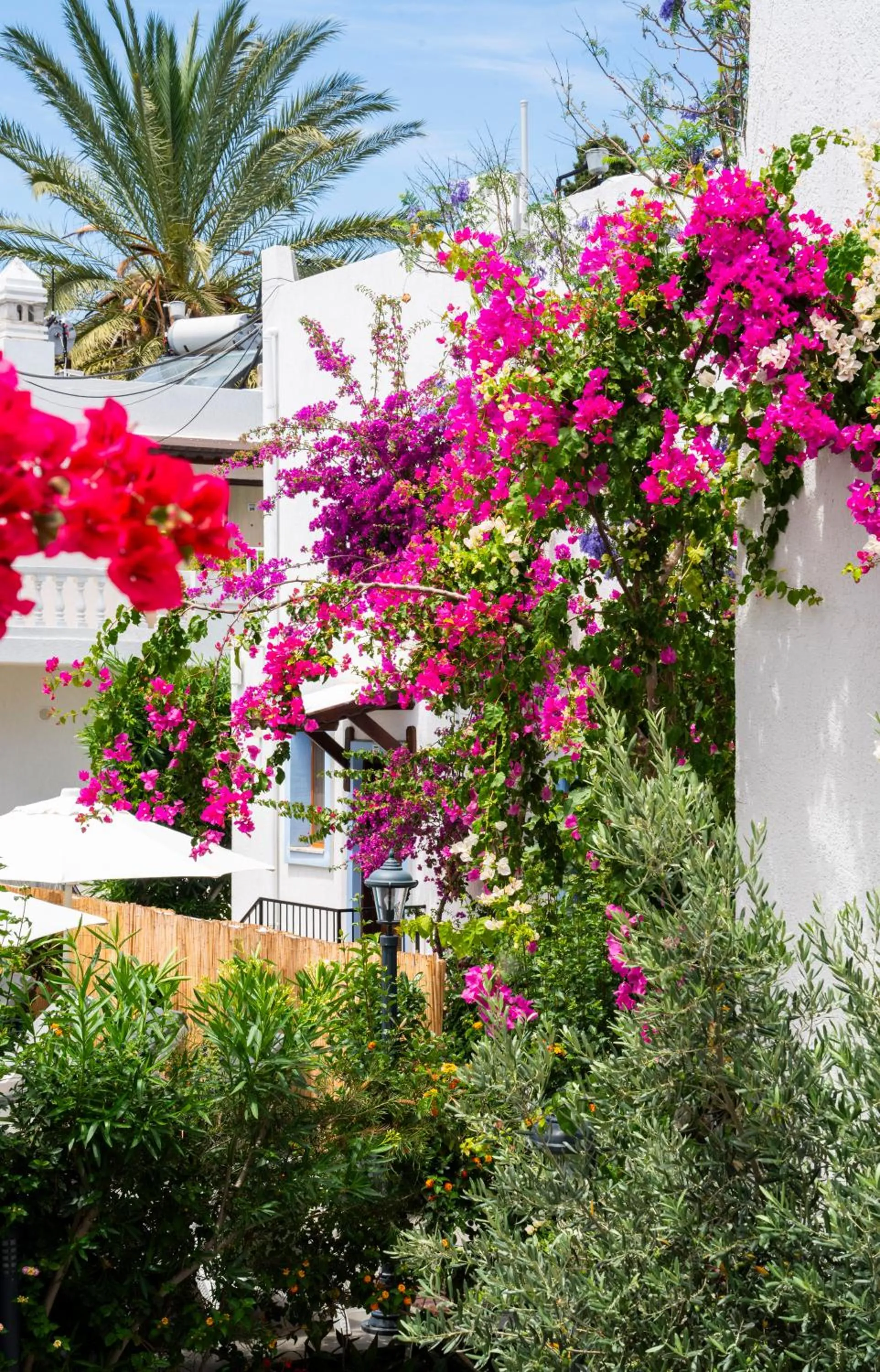 Manuela Boutique Hotel Bitez