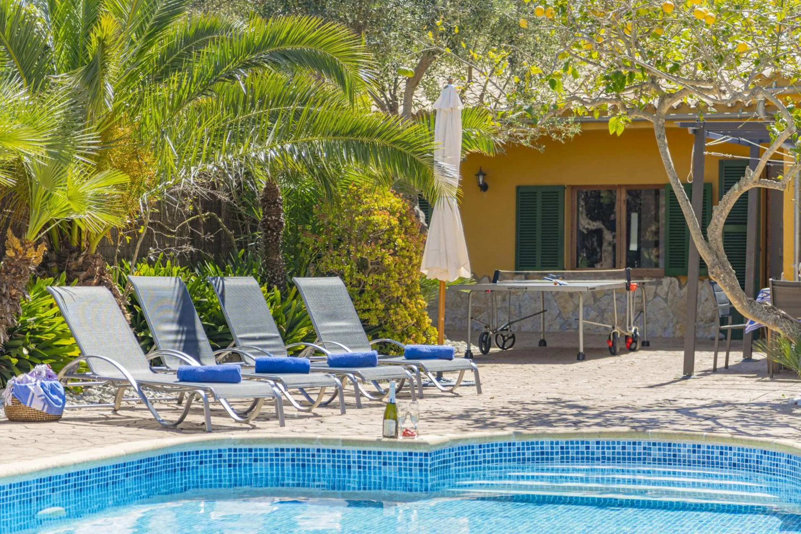 Swimming pool in Villa El Mal Pas / Can Seguinet