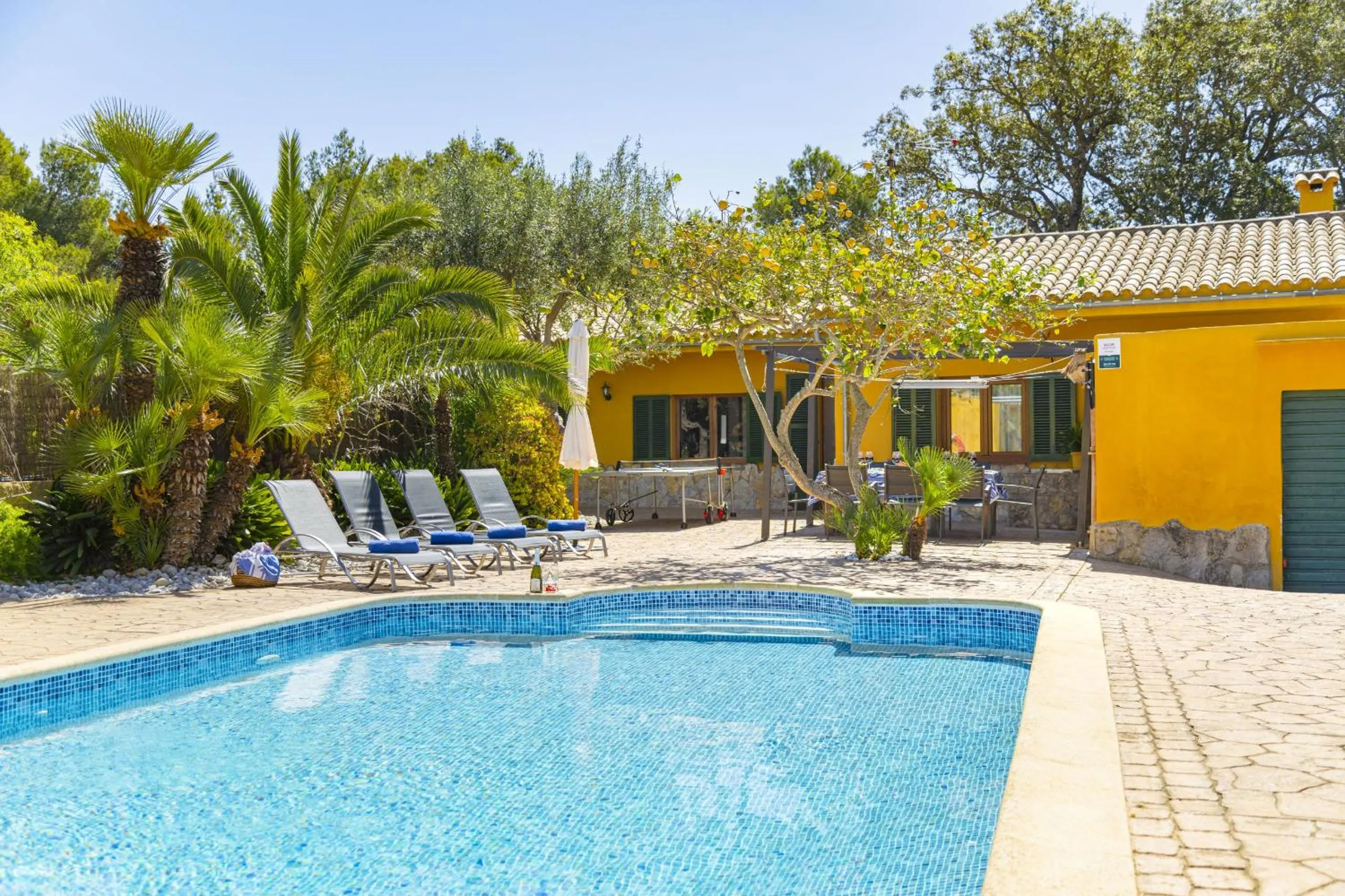 Swimming pool in Villa El Mal Pas / Can Seguinet