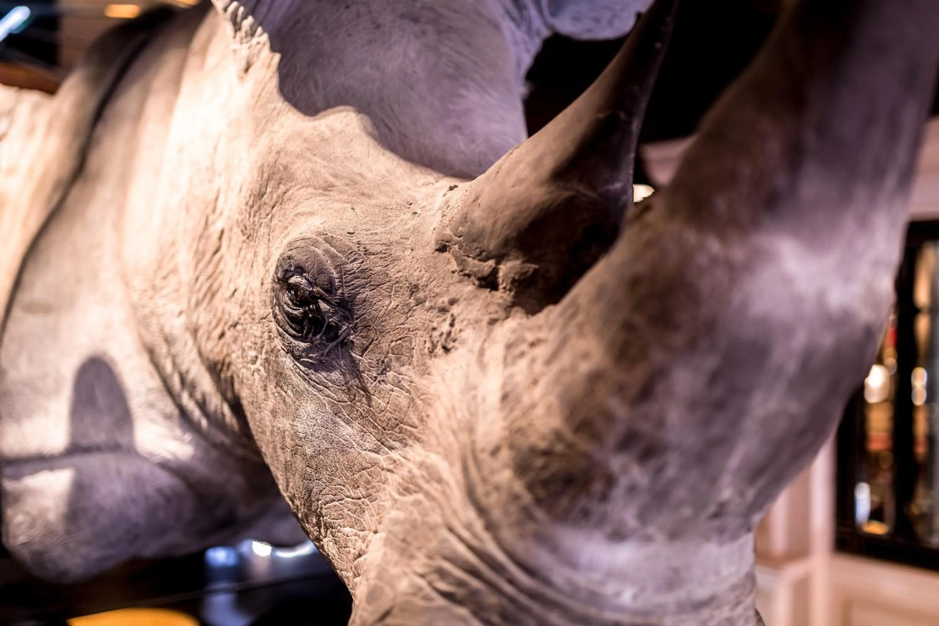 Decorative detail in Maison Albar- Le Champs-Elysées