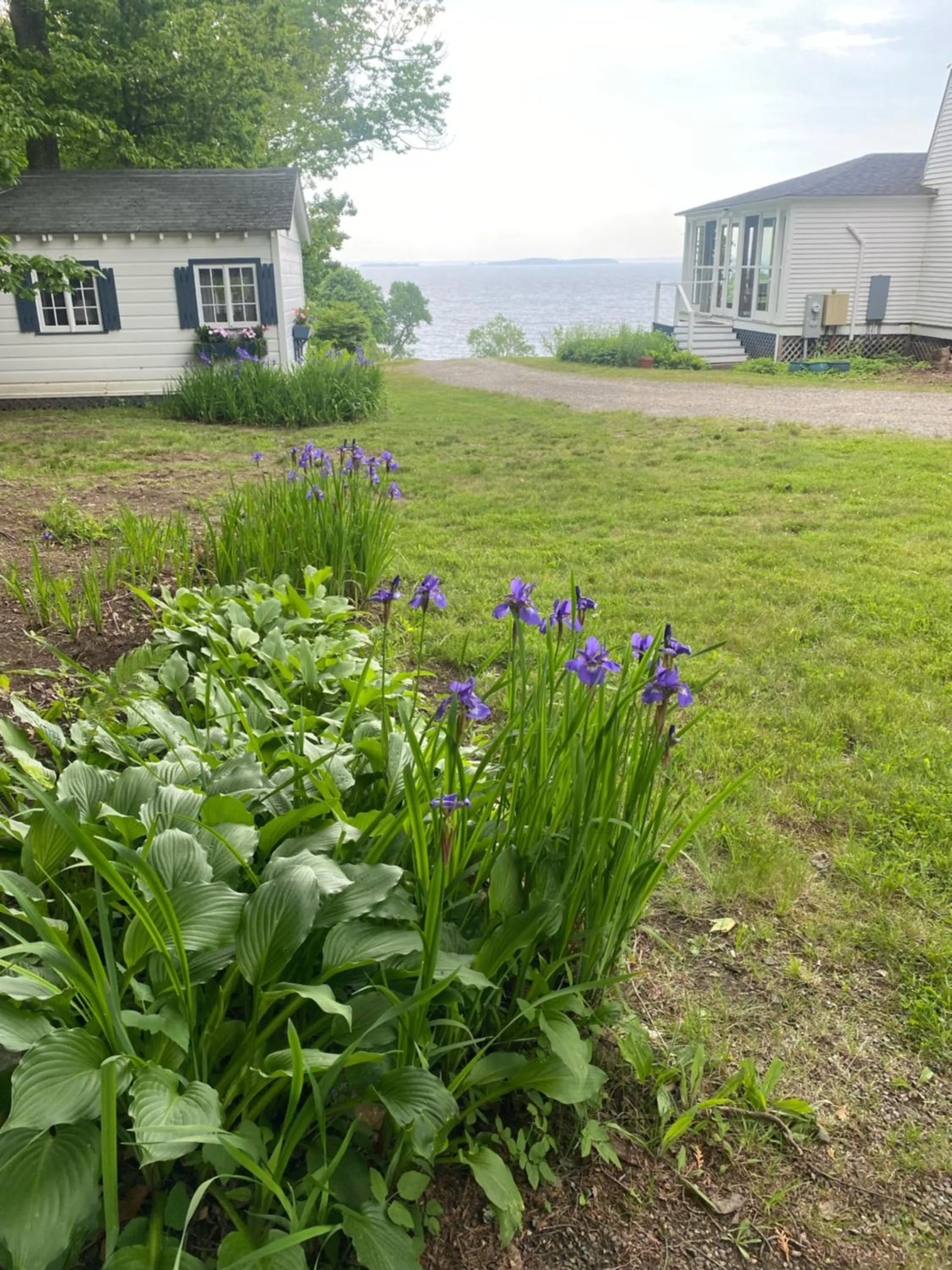 Natural landscape in High Tide Inn on the Ocean, Motel and Cottages