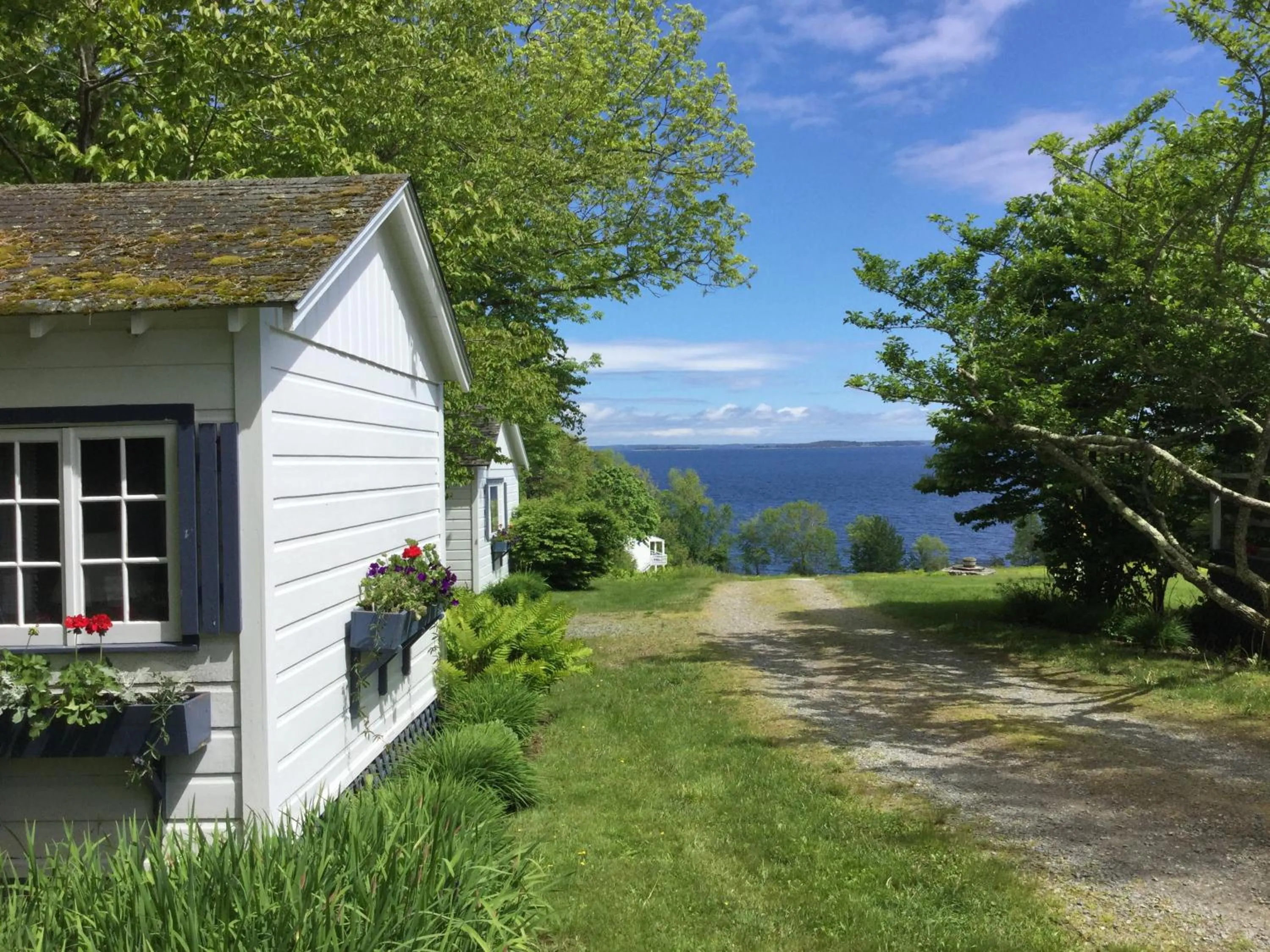 Sea view in High Tide Inn on the Ocean, Motel and Cottages