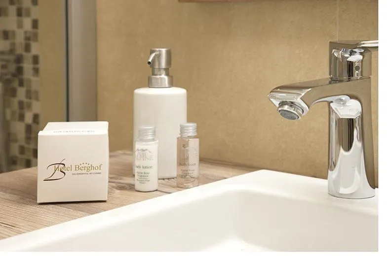 Single Room in Hotel Berghof