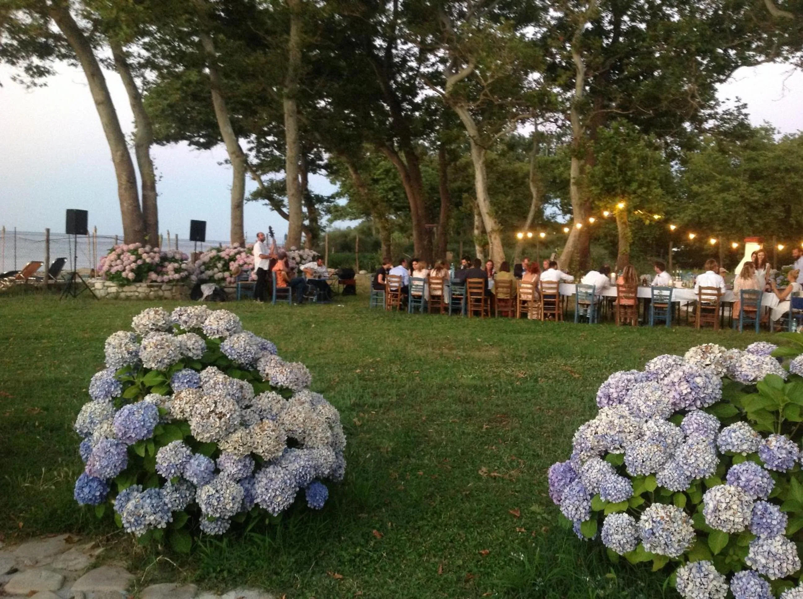 Food in Archondissa Beach Aparthotel