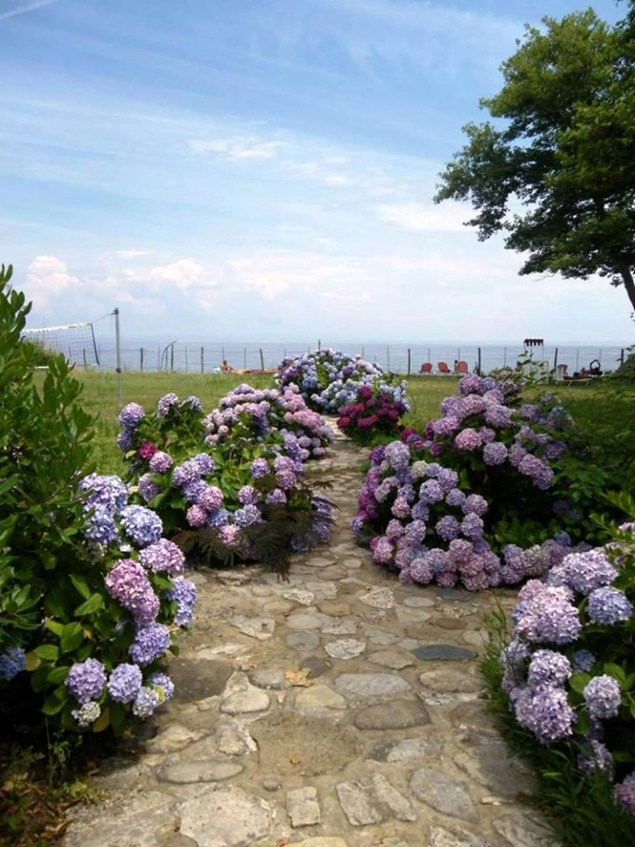 Spring in Archondissa Beach Aparthotel