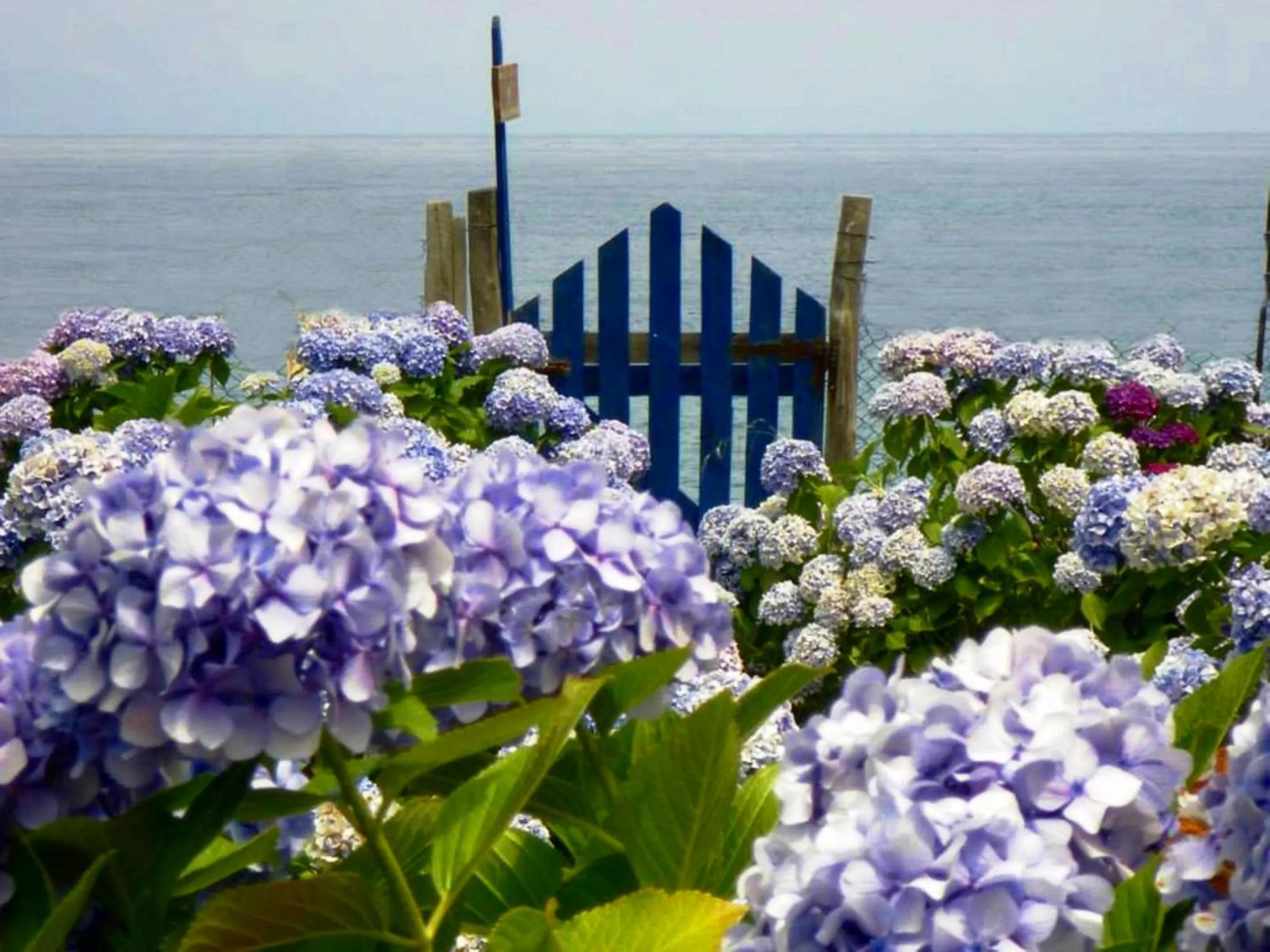Spring in Archondissa Beach Aparthotel