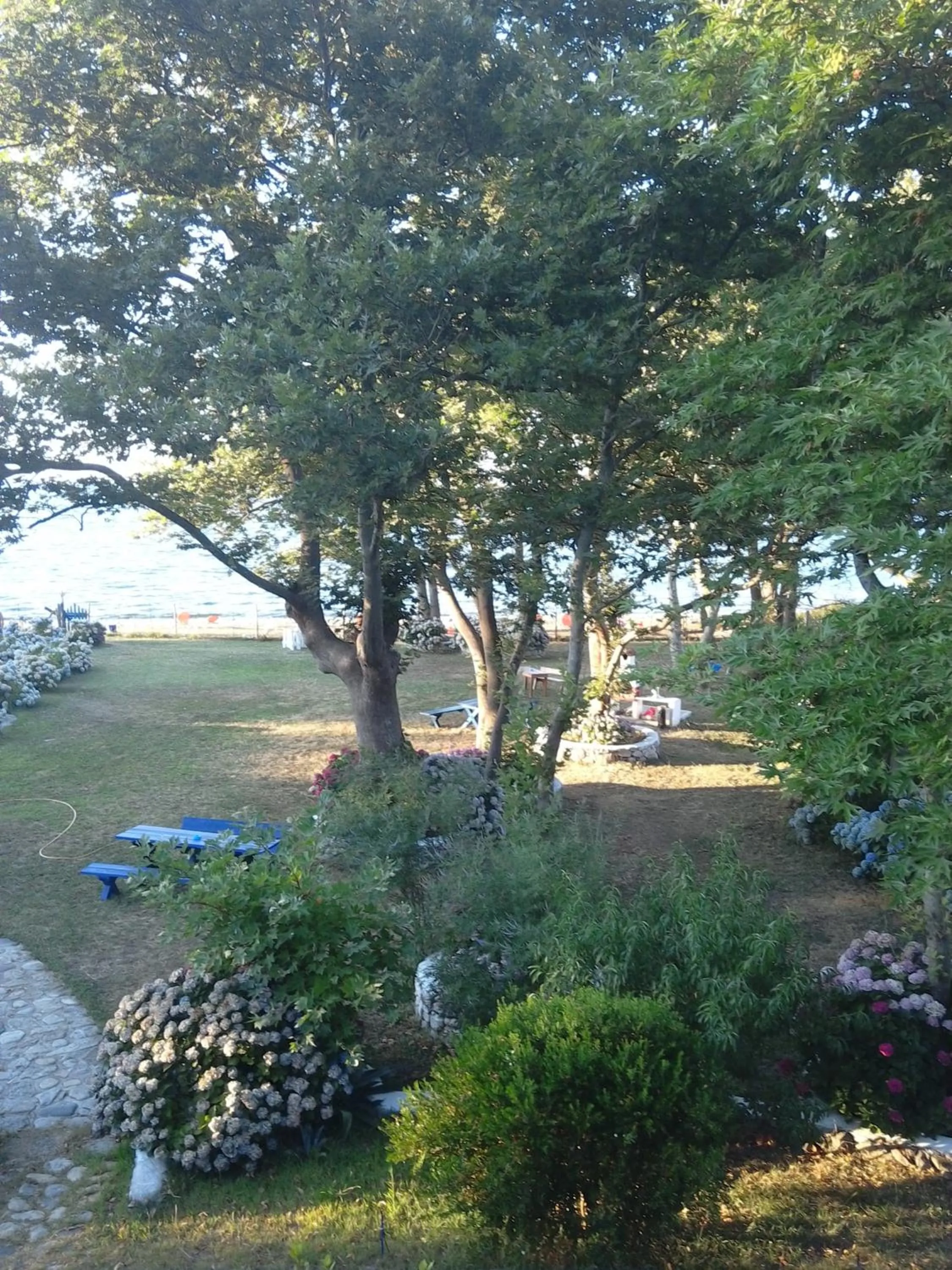 Archondissa Beach Aparthotel