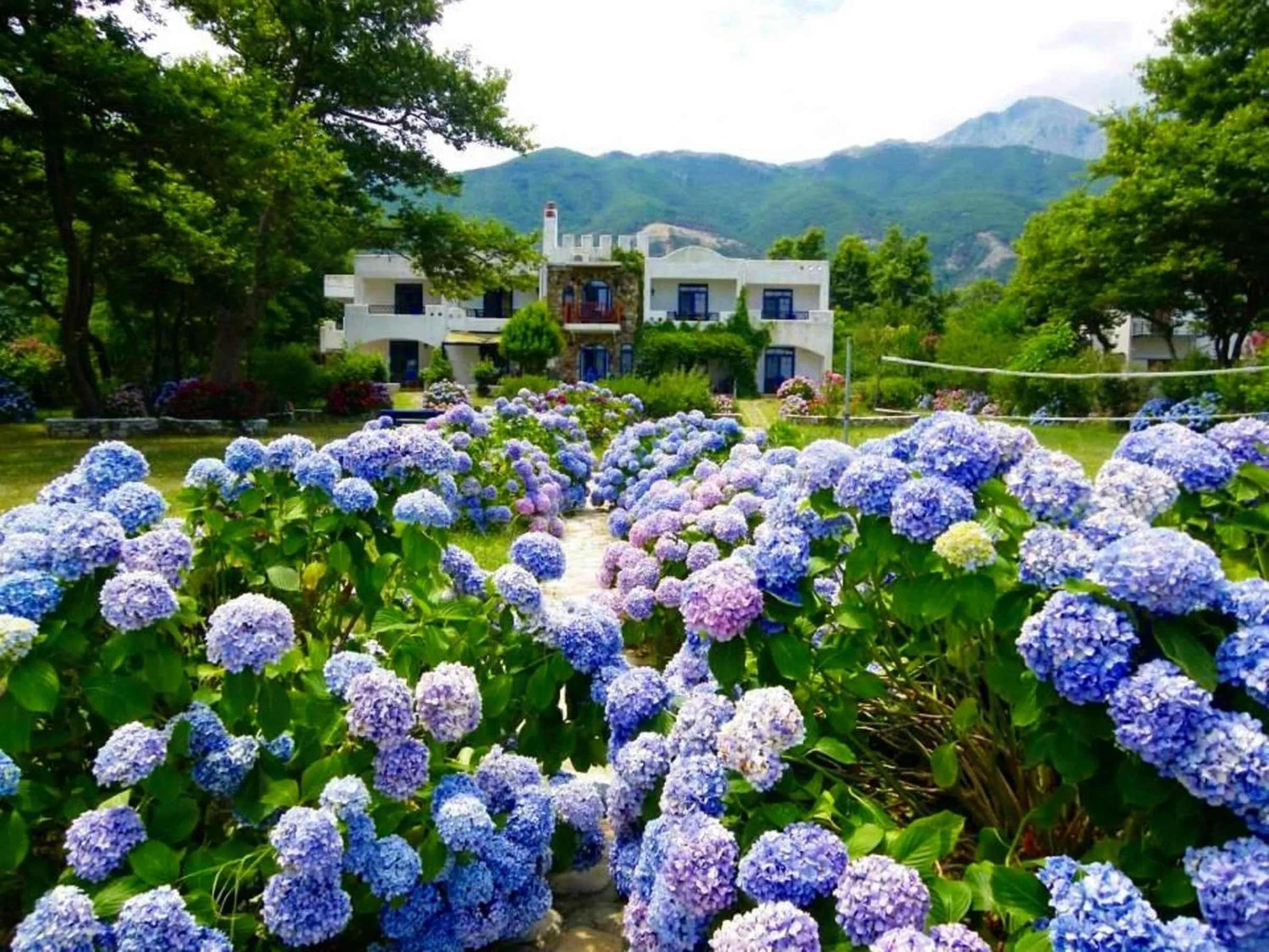 Spring in Archondissa Beach Aparthotel