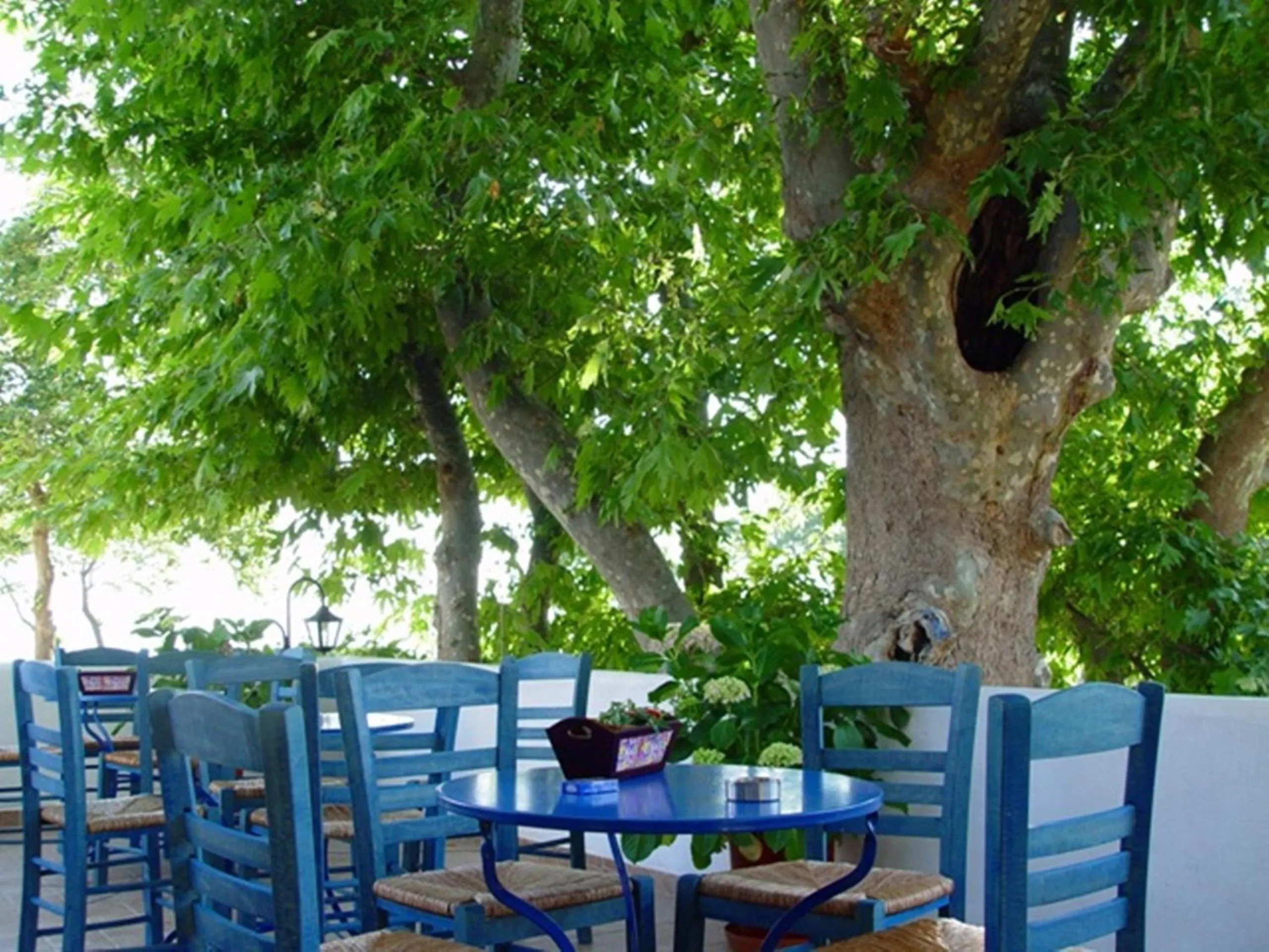 Patio in Archondissa Beach Aparthotel