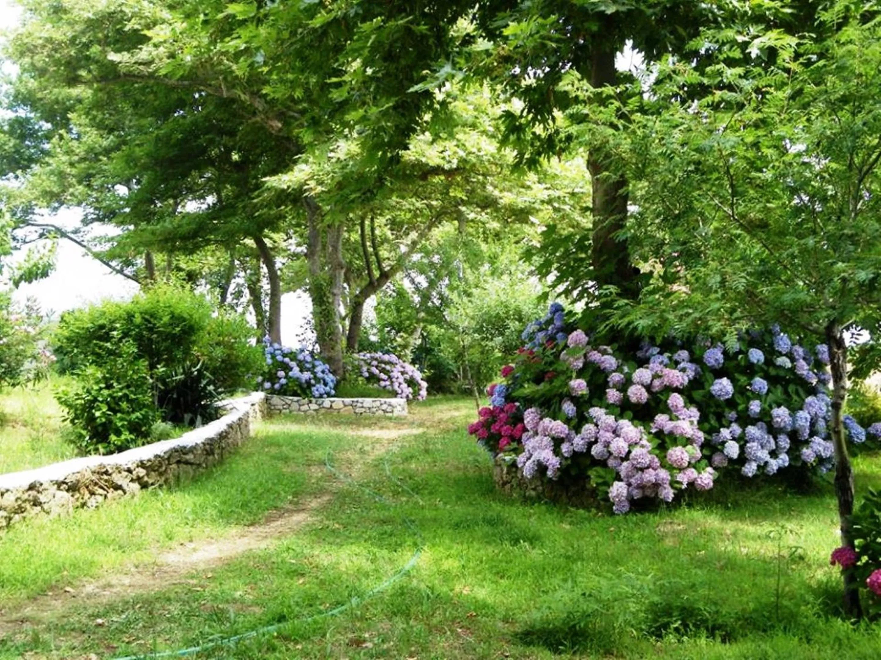 Spring in Archondissa Beach Aparthotel