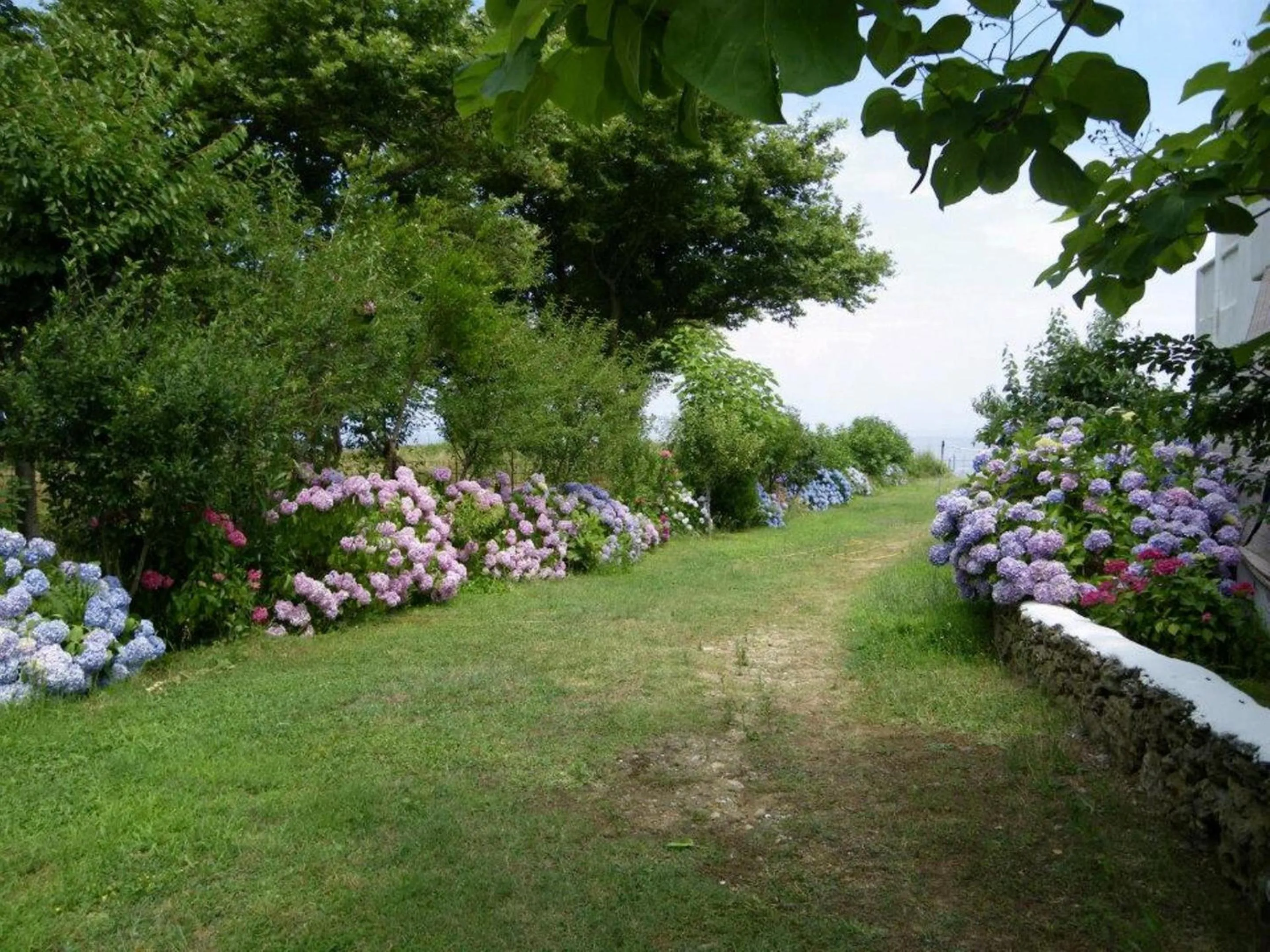 Spring in Archondissa Beach Aparthotel
