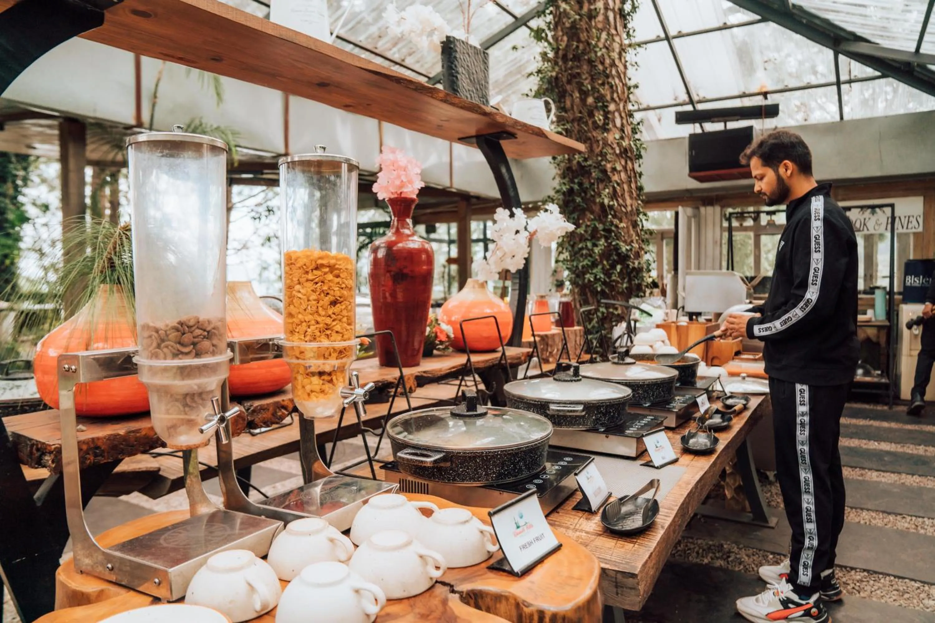 Restaurant/places to eat in Kasauli Hills Resort