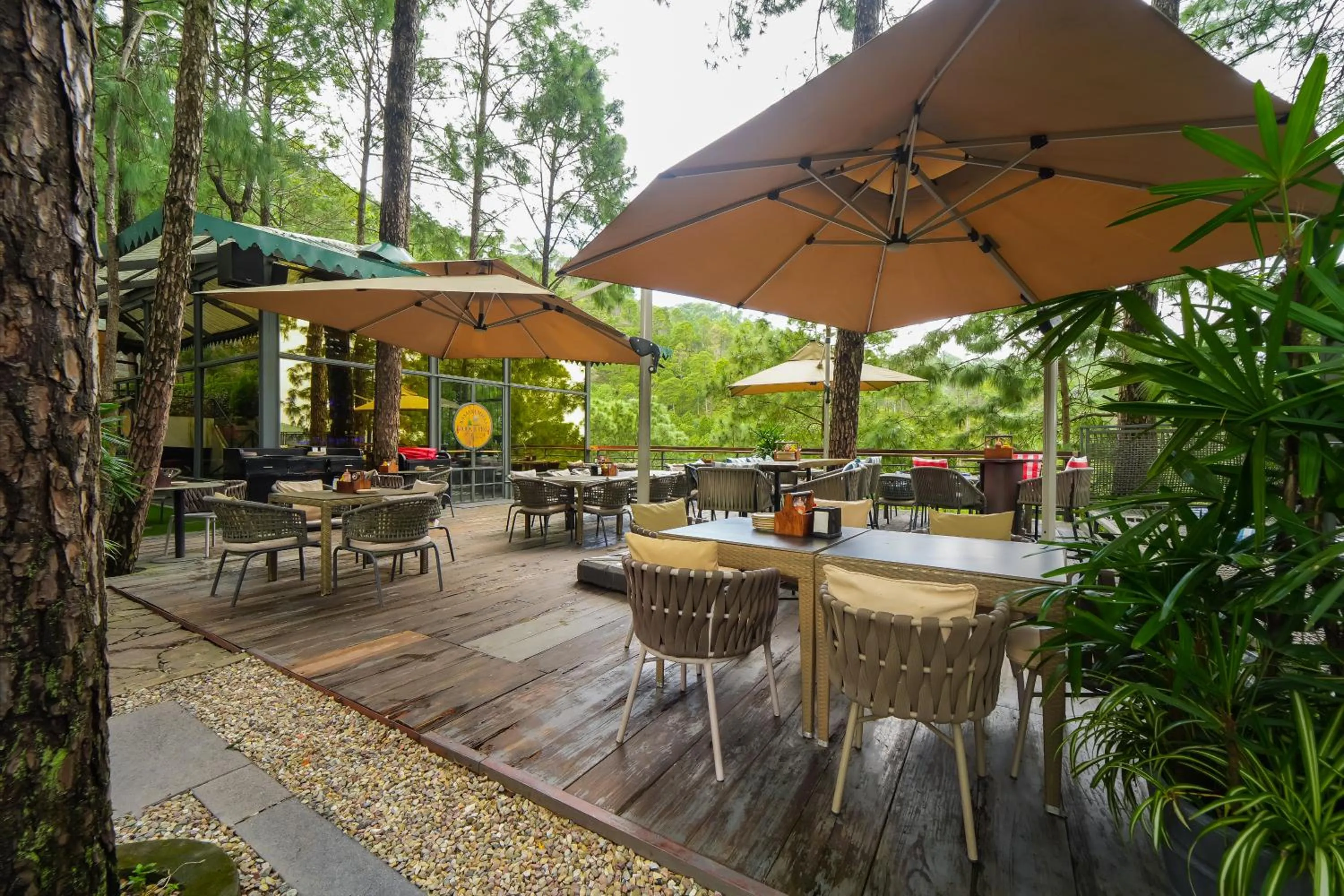 Lounge or bar in Kasauli Hills Resort