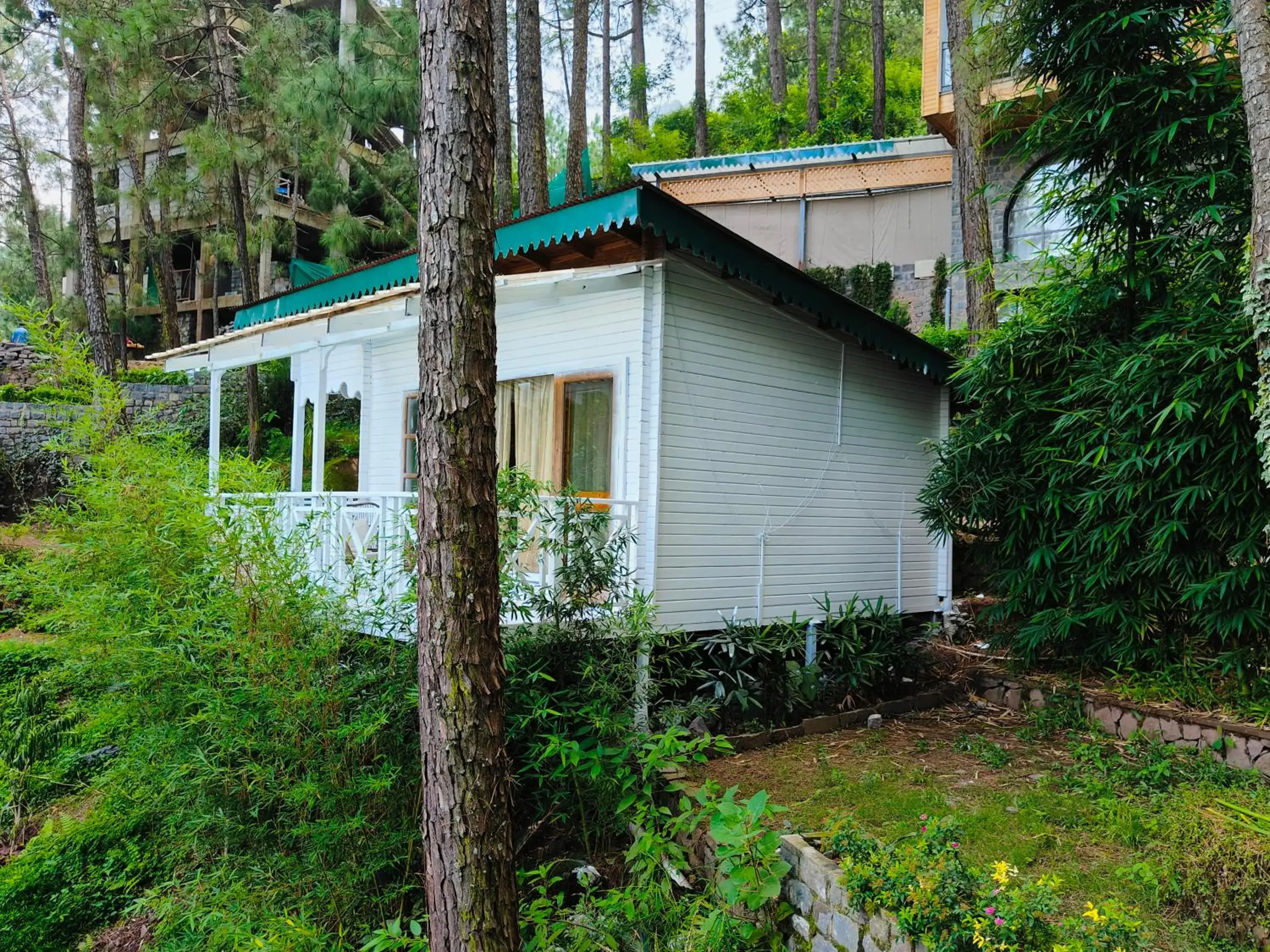 Bedroom in Kasauli Hills Resort Bedroom in Kasauli Hills Resort
