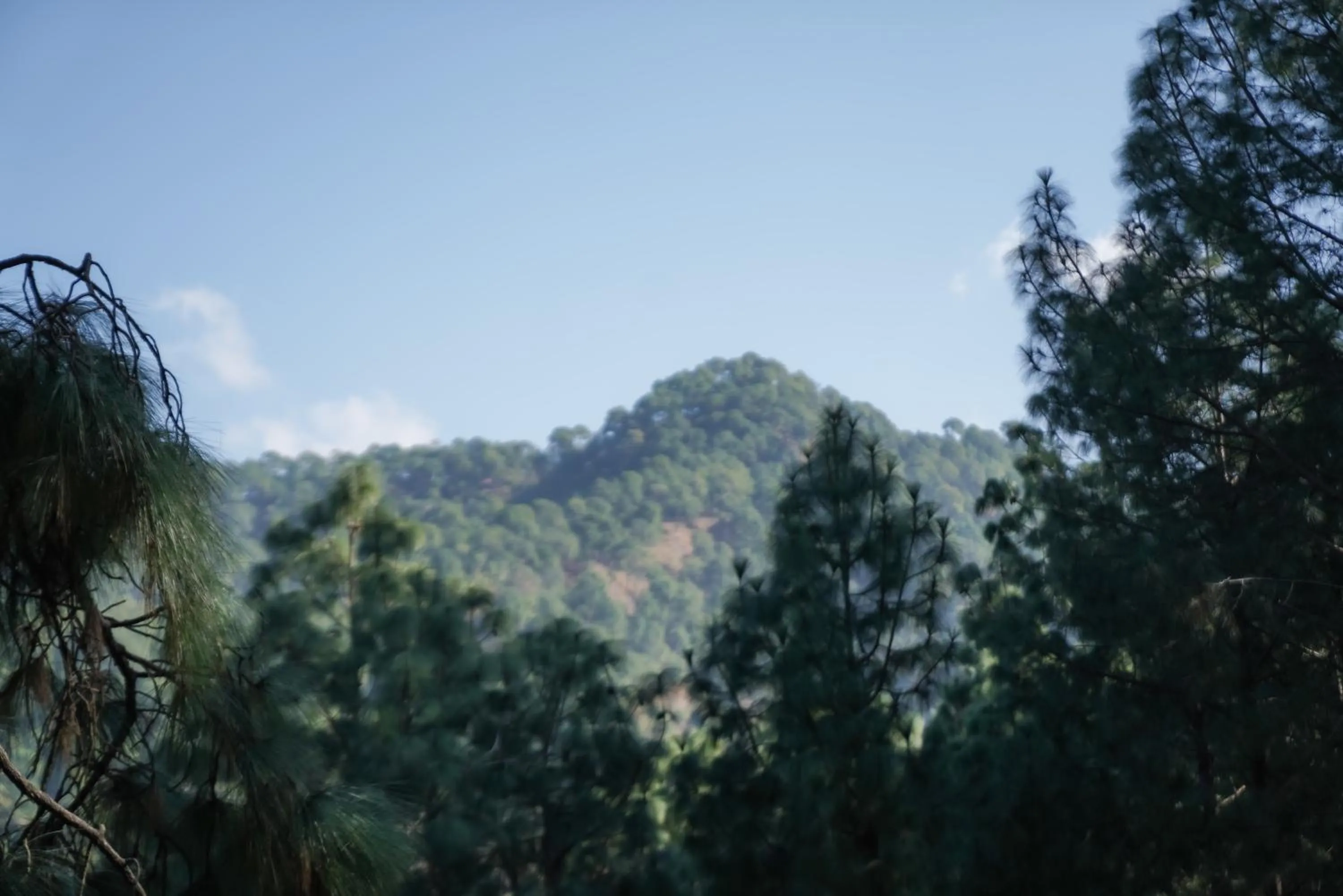 Mountain view in Kasauli Hills Resort