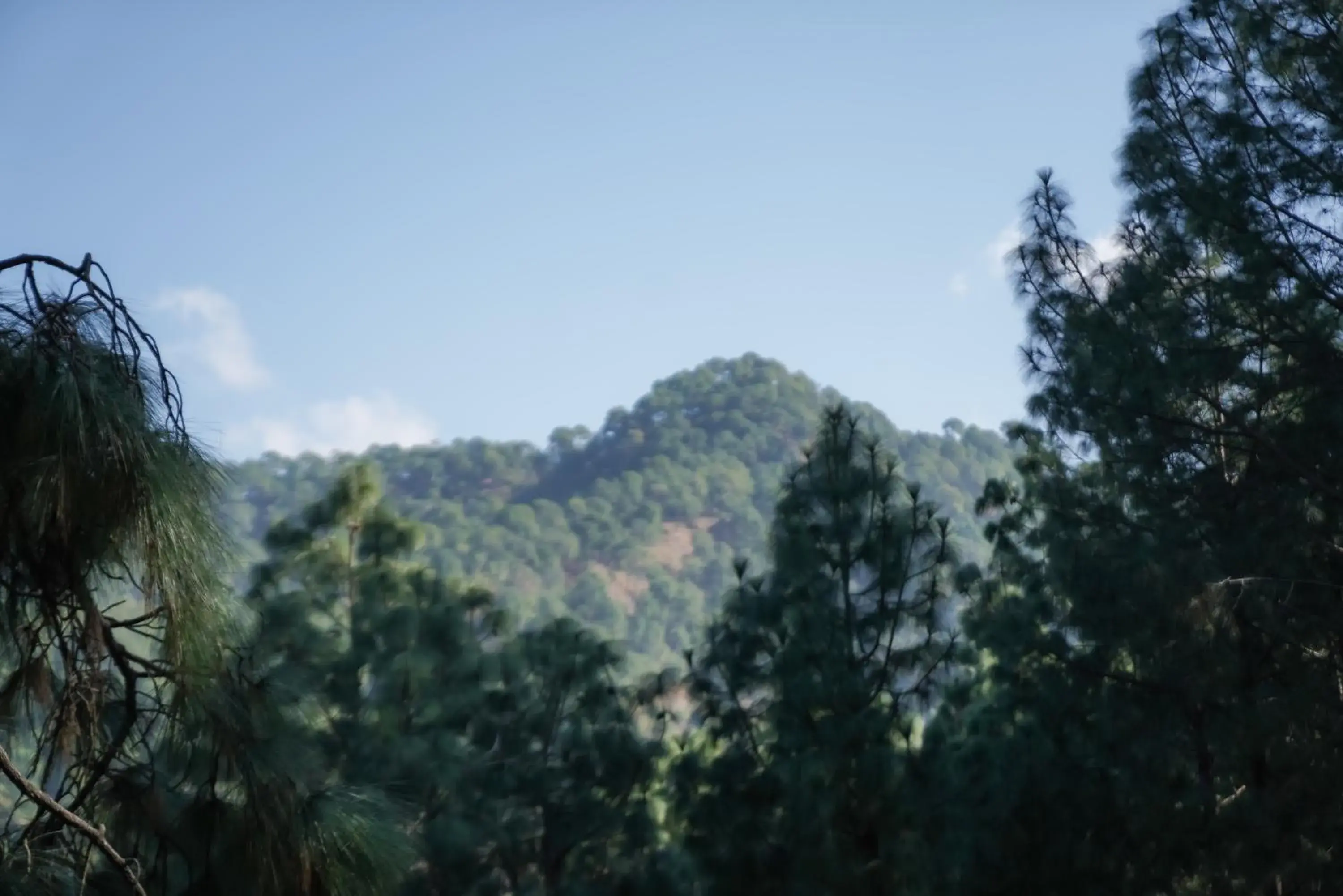 Mountain view in Kasauli Hills Resort Mountain view in Kasauli Hills Resort