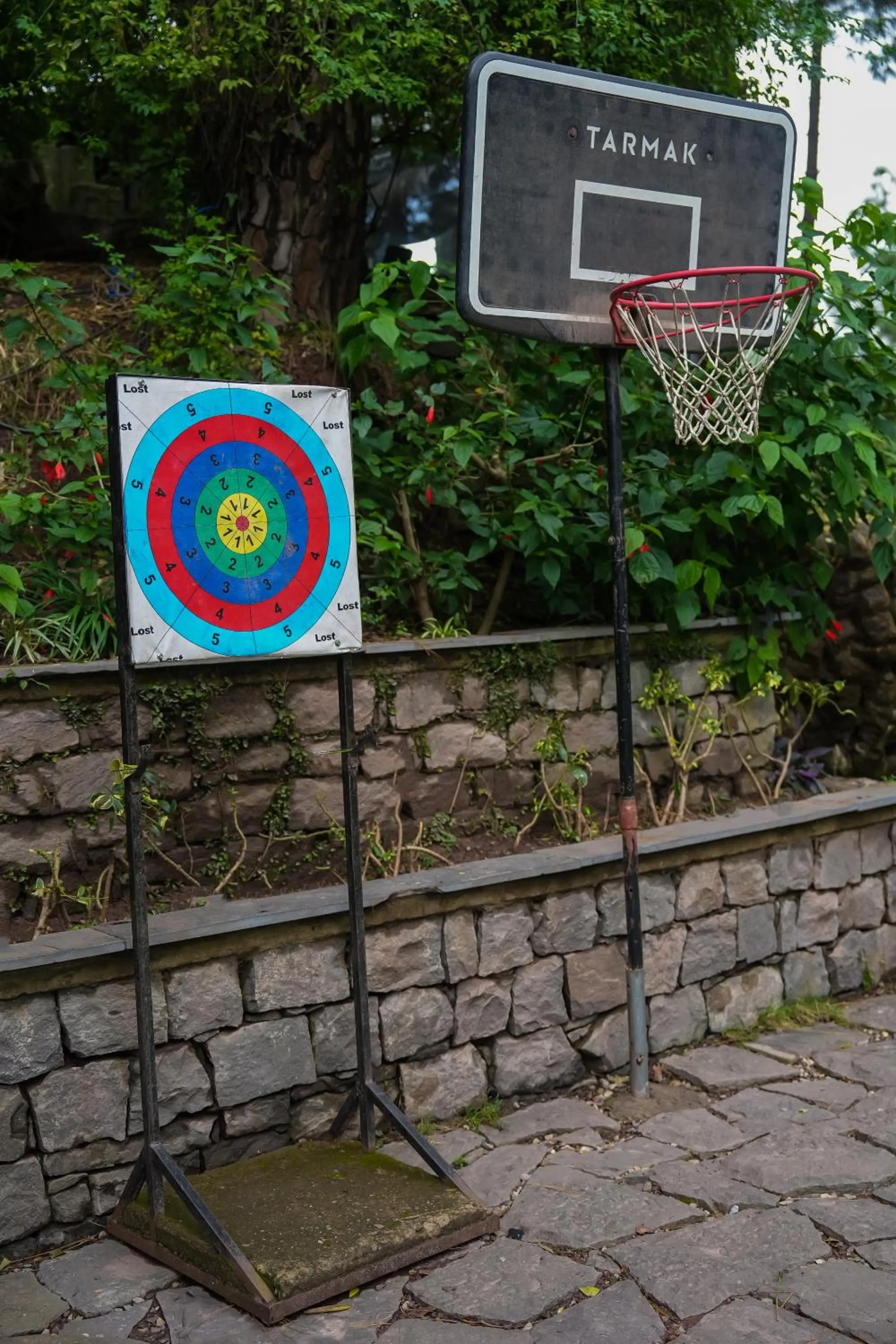 Activities in Kasauli Hills Resort