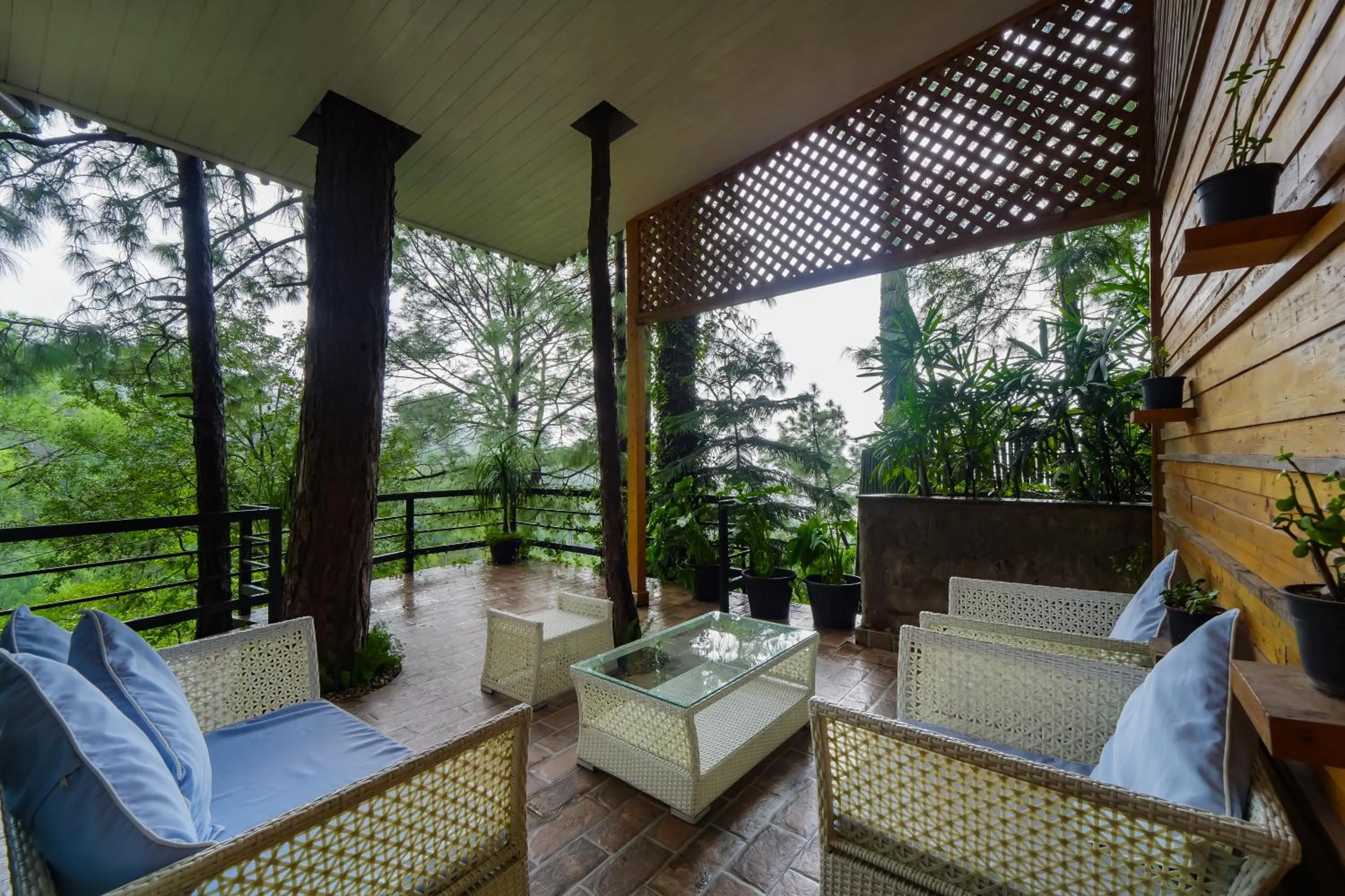 Balcony/Terrace in Kasauli Hills Resort