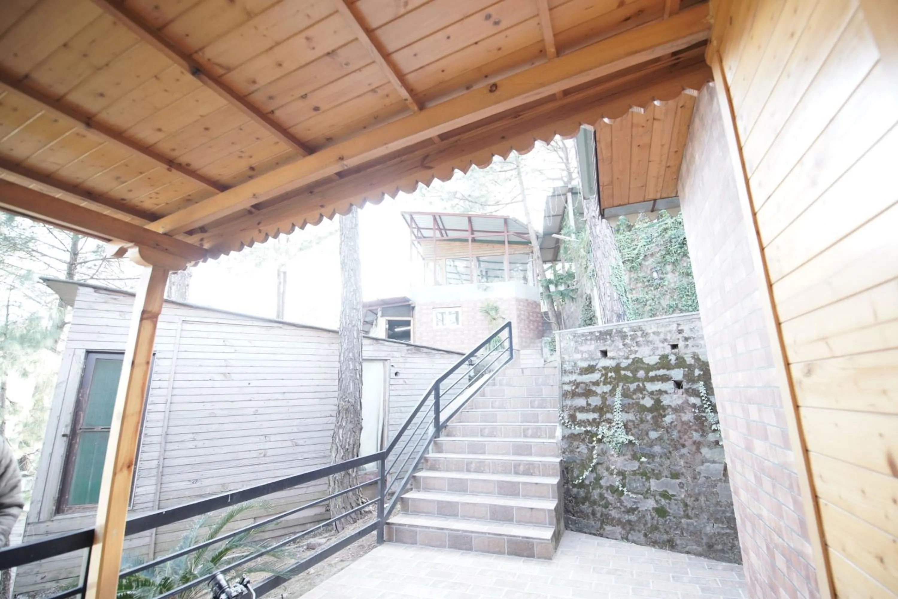 Entertainment in Kasauli Hills Resort