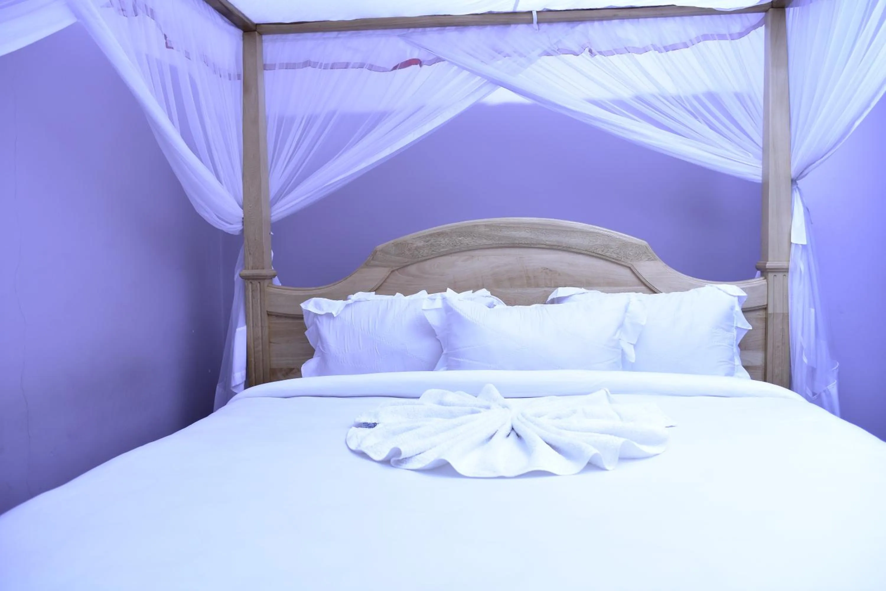 Photo of the whole room in Mzunguu Safari Lodge