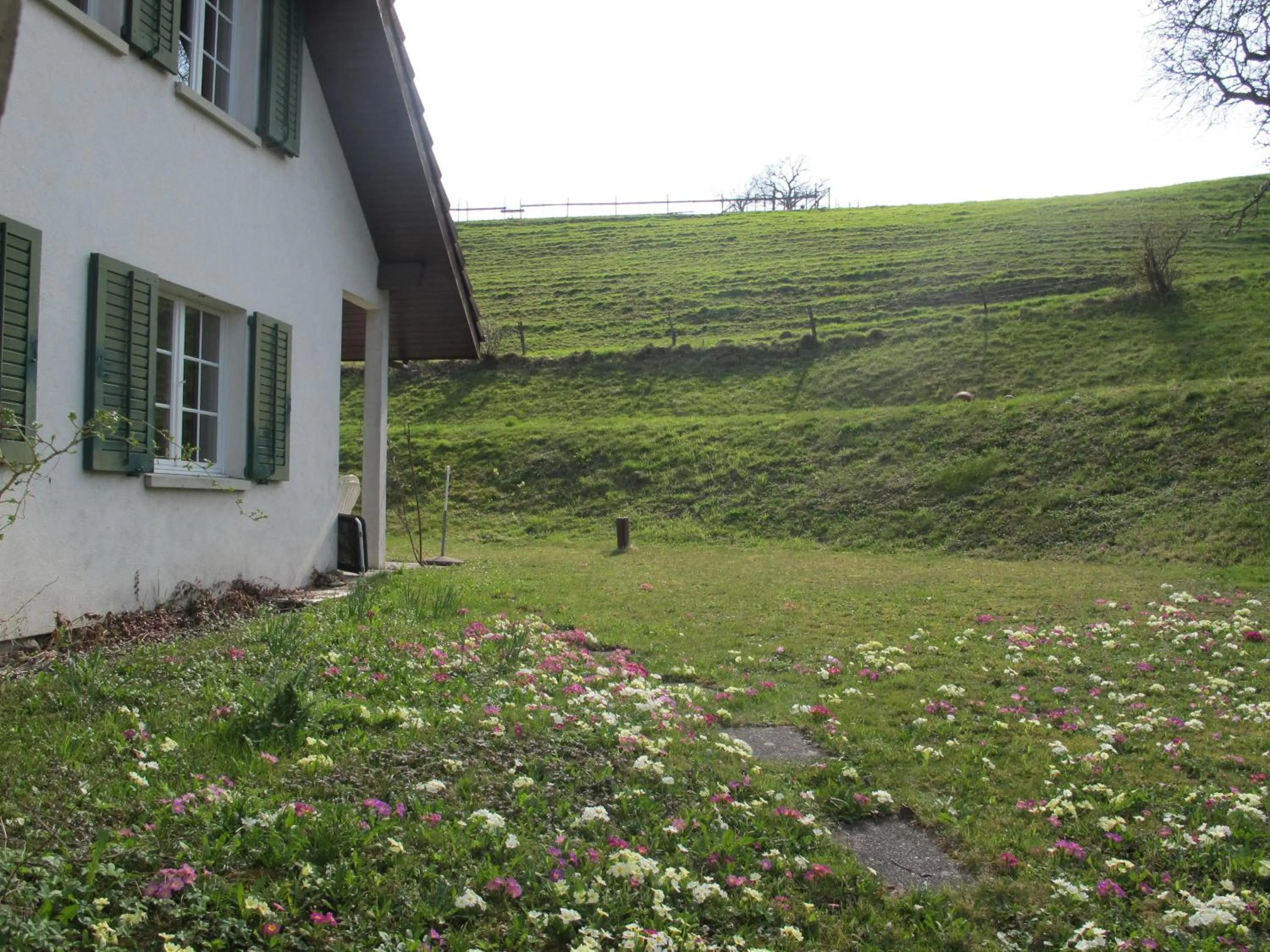 Garden in B&B Sigrid Braun-Budde