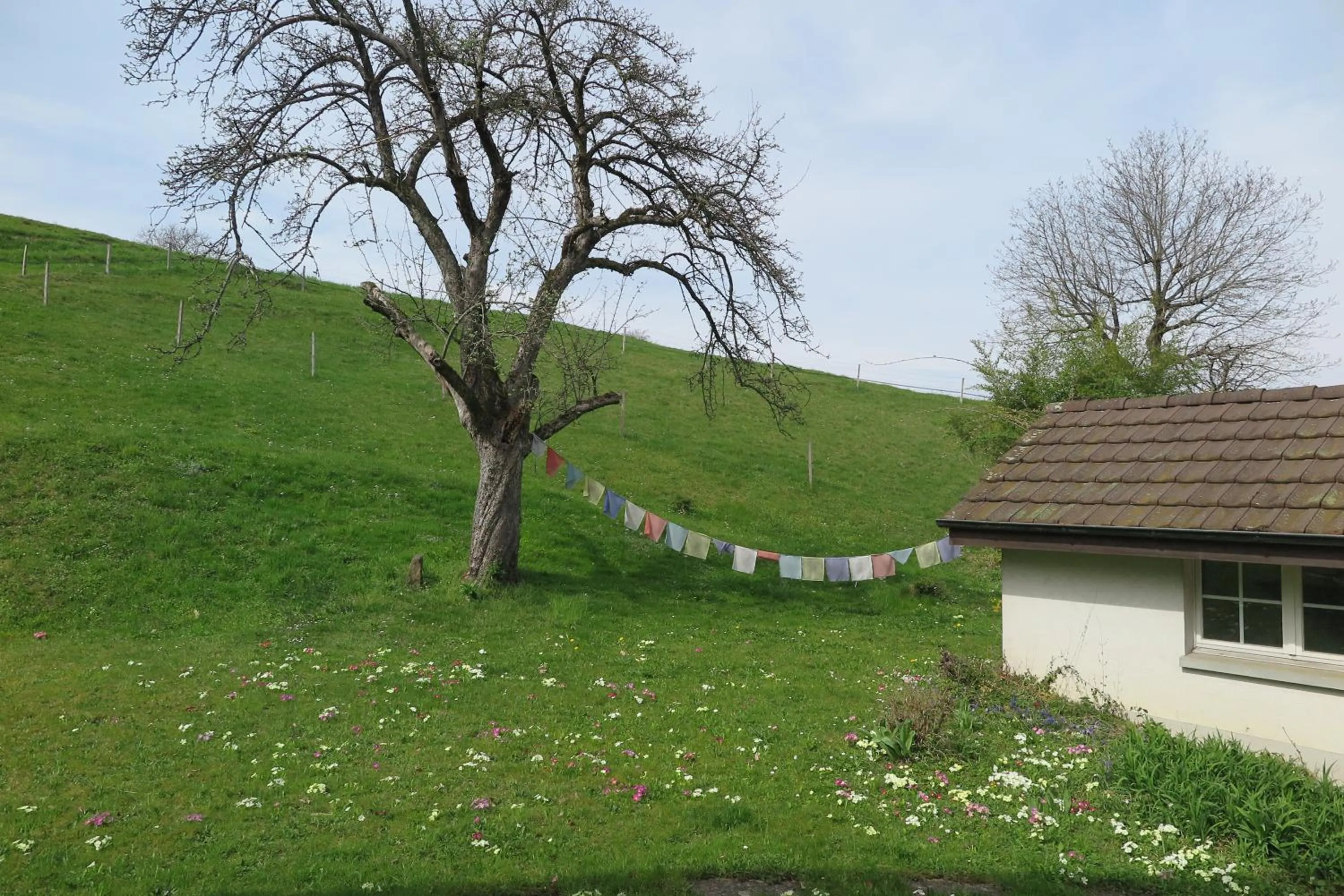 Garden view in B&B Sigrid Braun-Budde