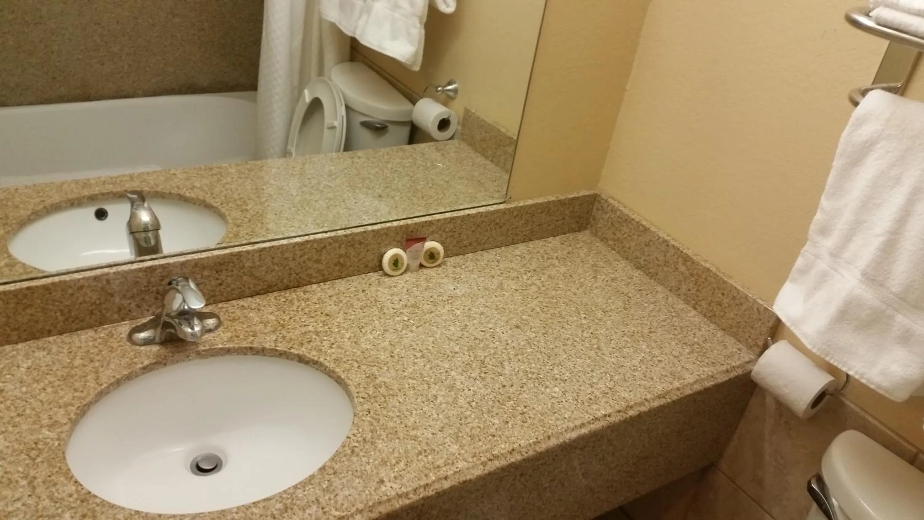 Bathroom in Residents Suites Liberty