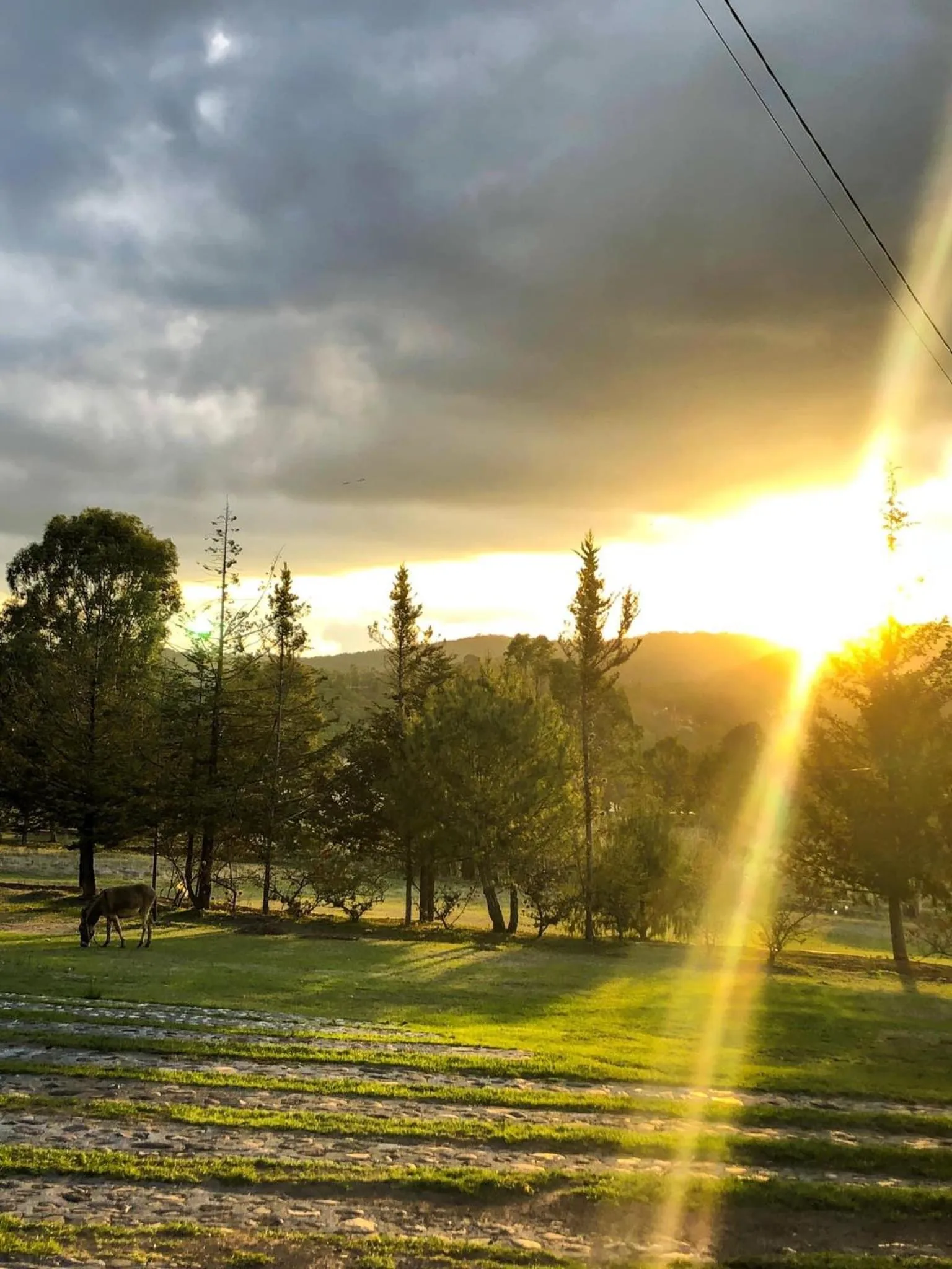 Hotel Boutique Calderon