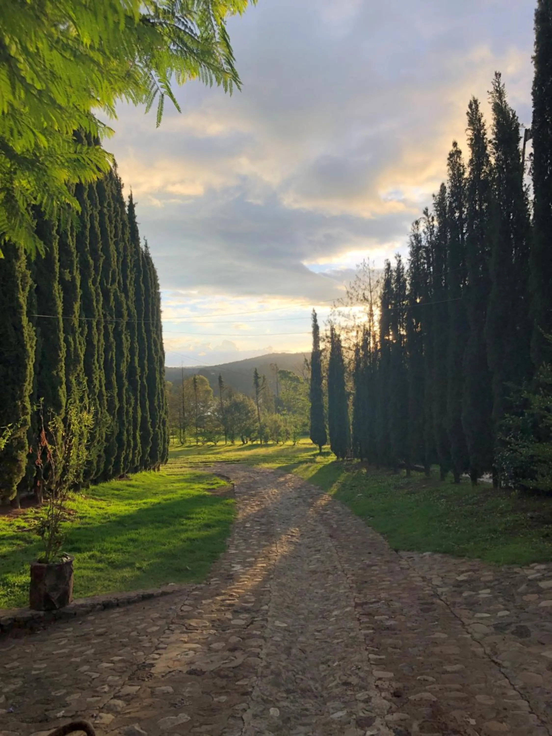 Garden in Hotel Boutique Calderon
