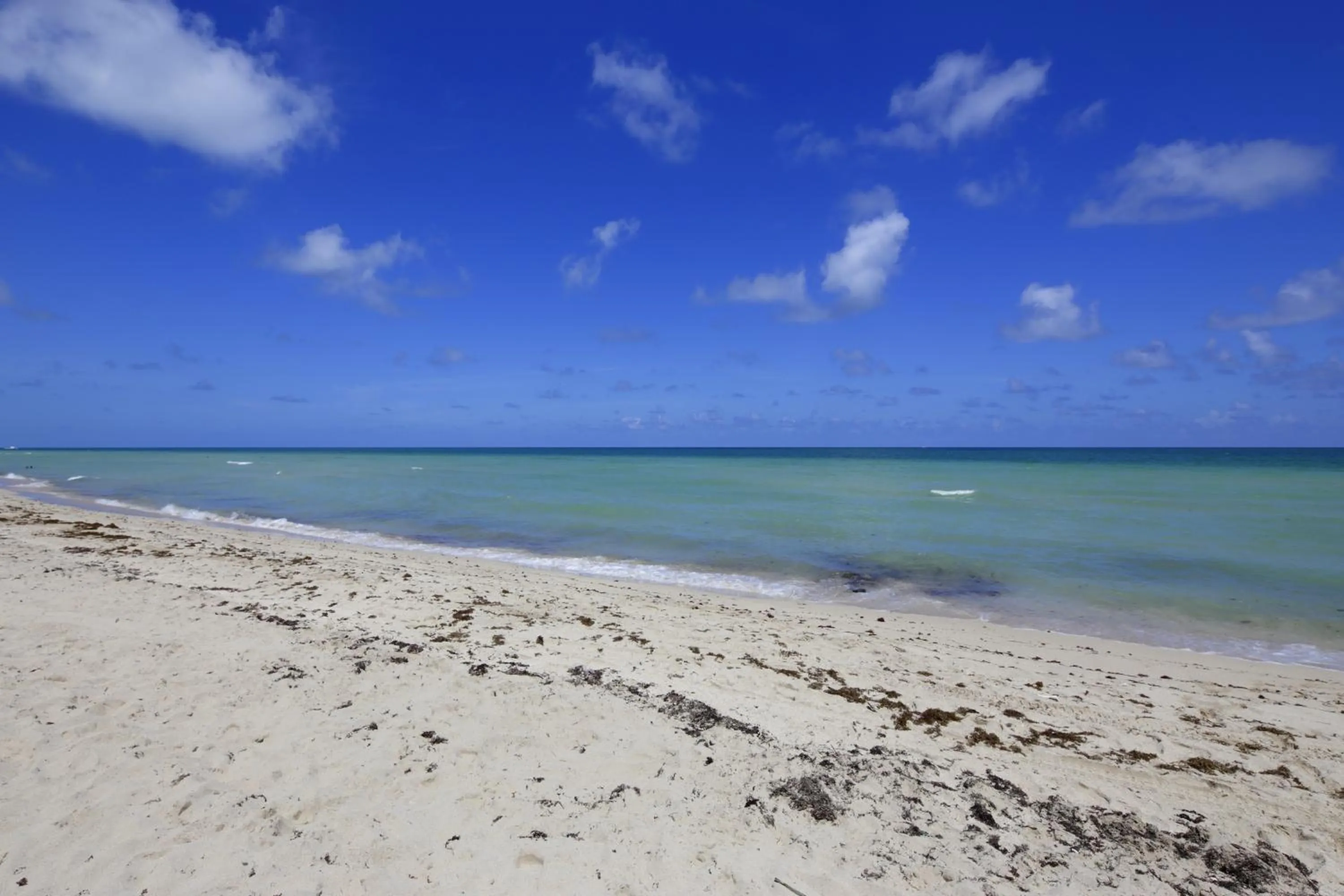 Beach in New Point Miami Beach Apartments