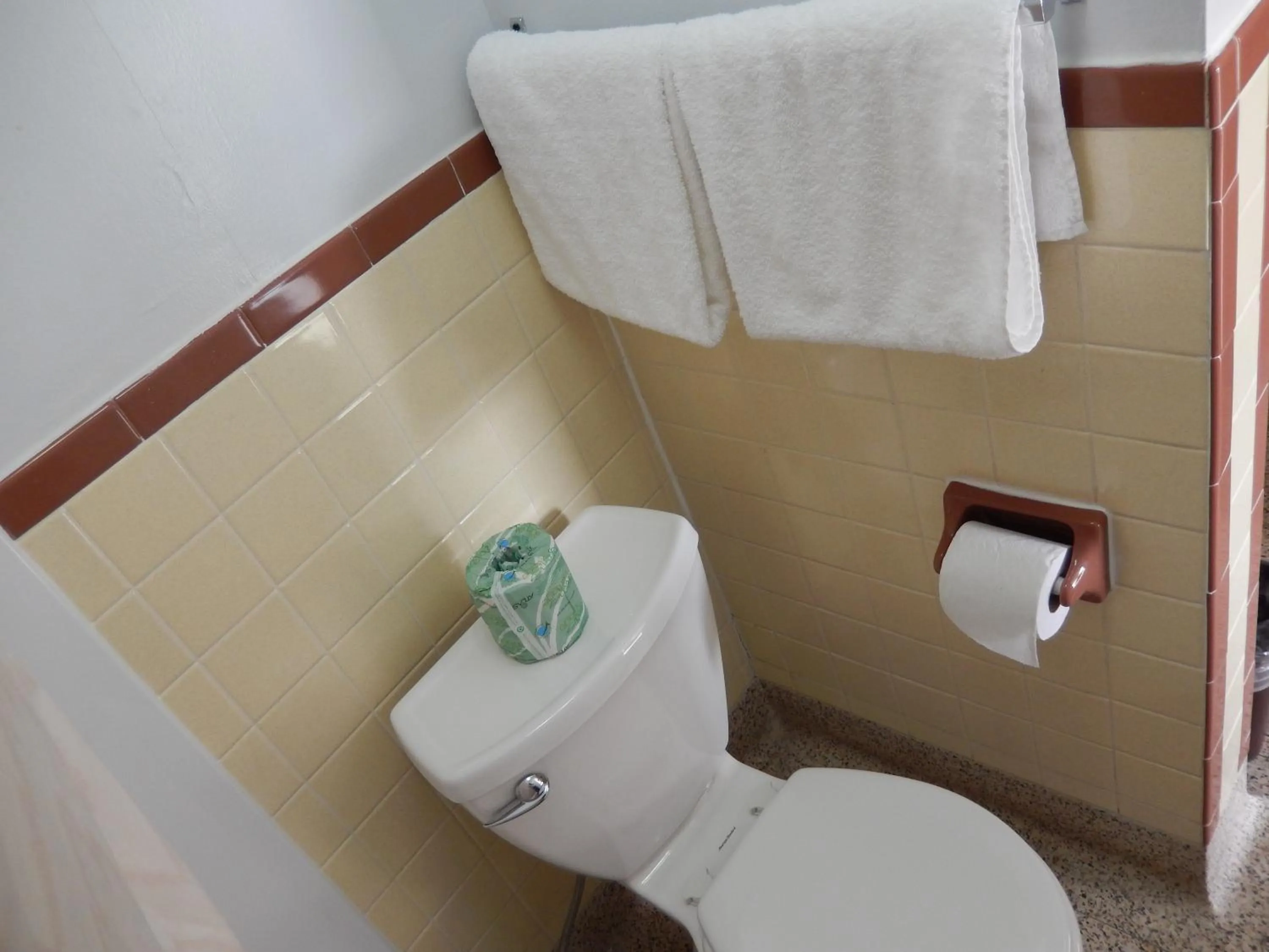 Bathroom in Townsman Motel