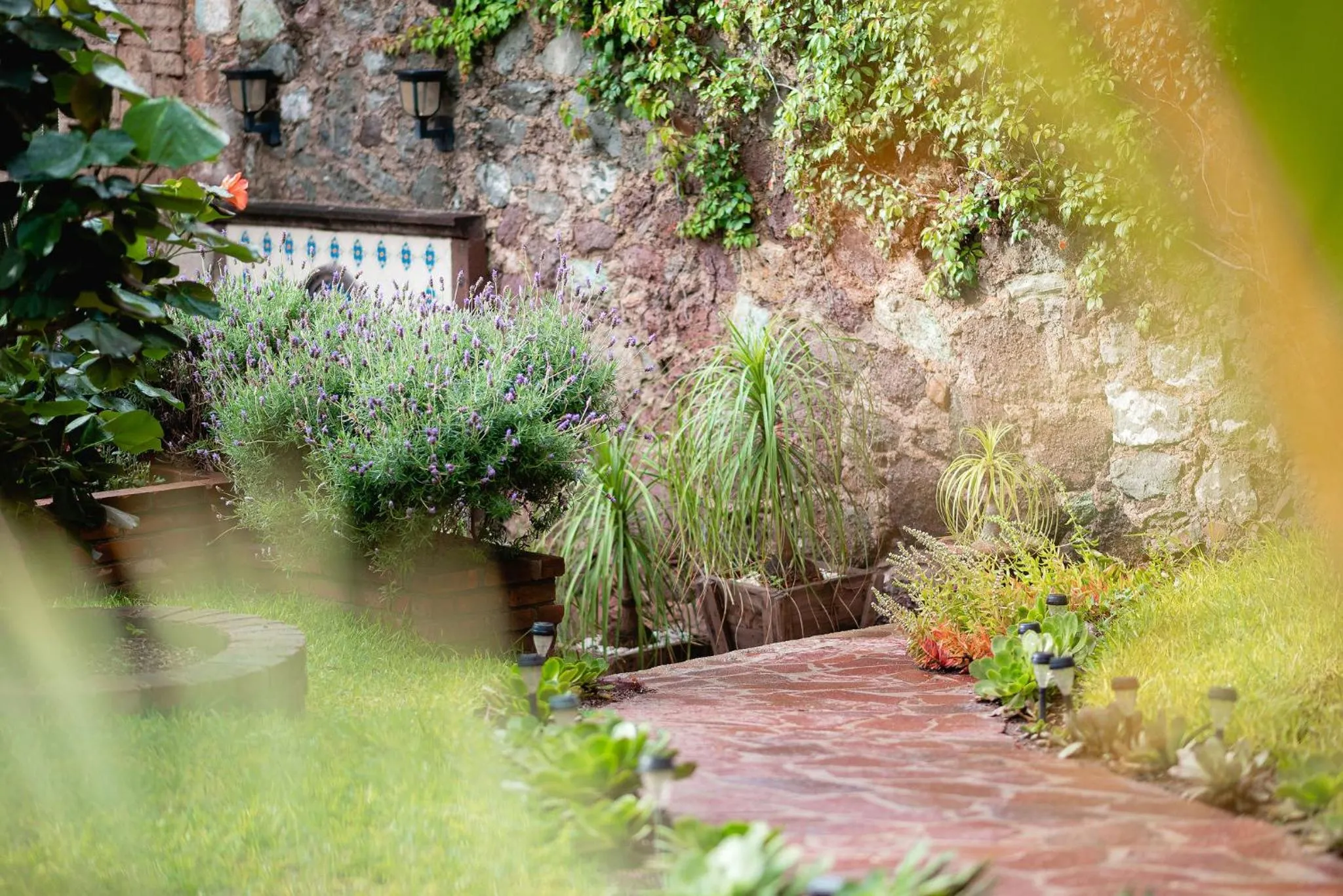 Garden in Casita Privada del Chan