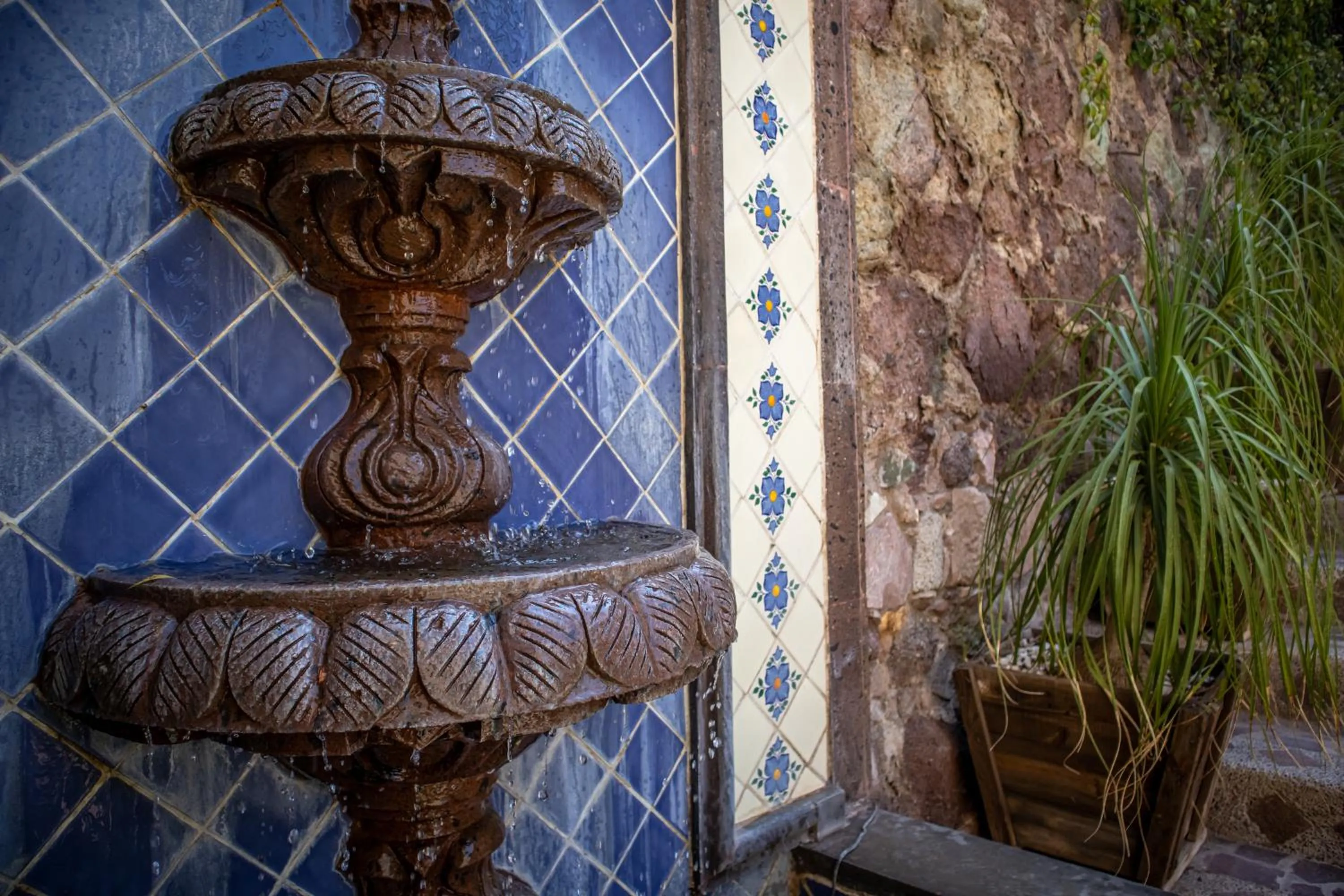 Garden in Casita Privada del Chan