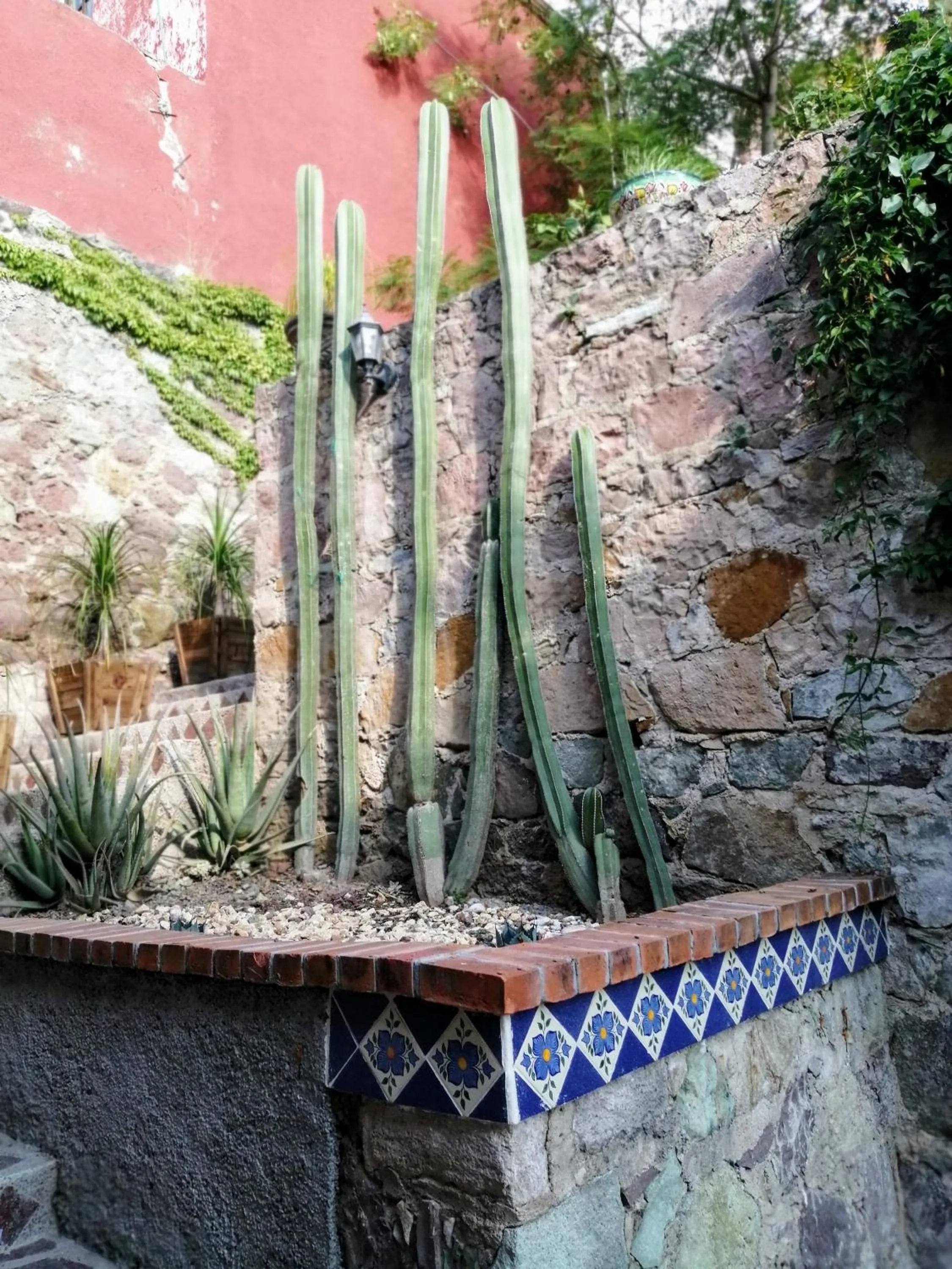 Garden view in Casita Privada del Chan