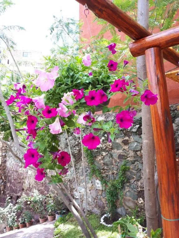 Garden in Casita Privada del Chan