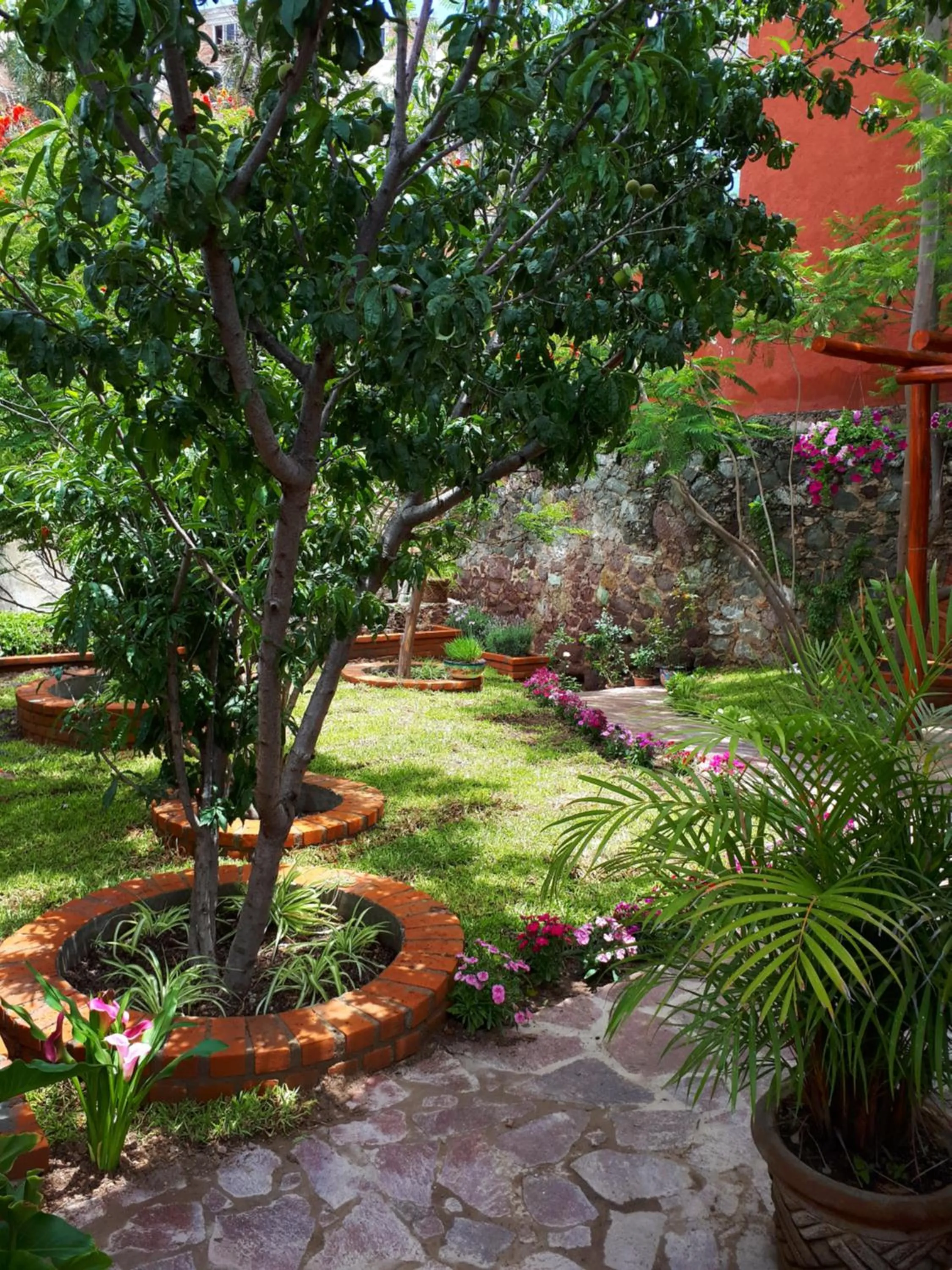Garden in Casita Privada del Chan