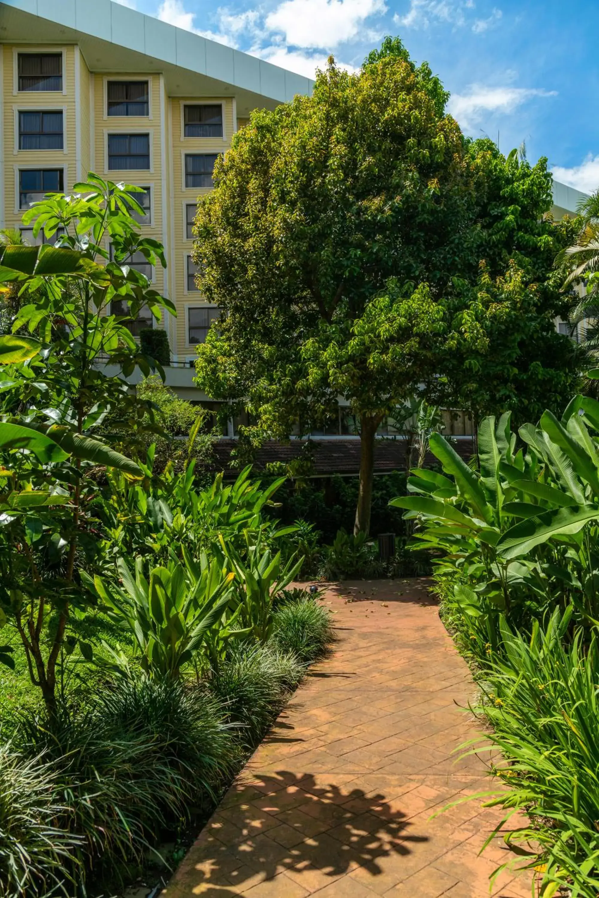 Property building in Barceló San José Property building in Barceló San José