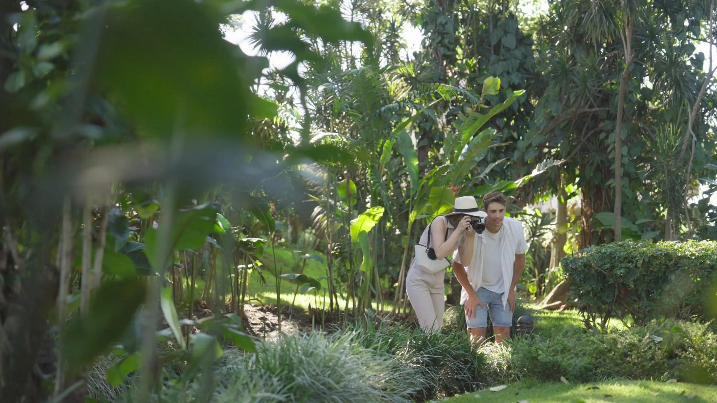 Natural landscape in Barceló San José