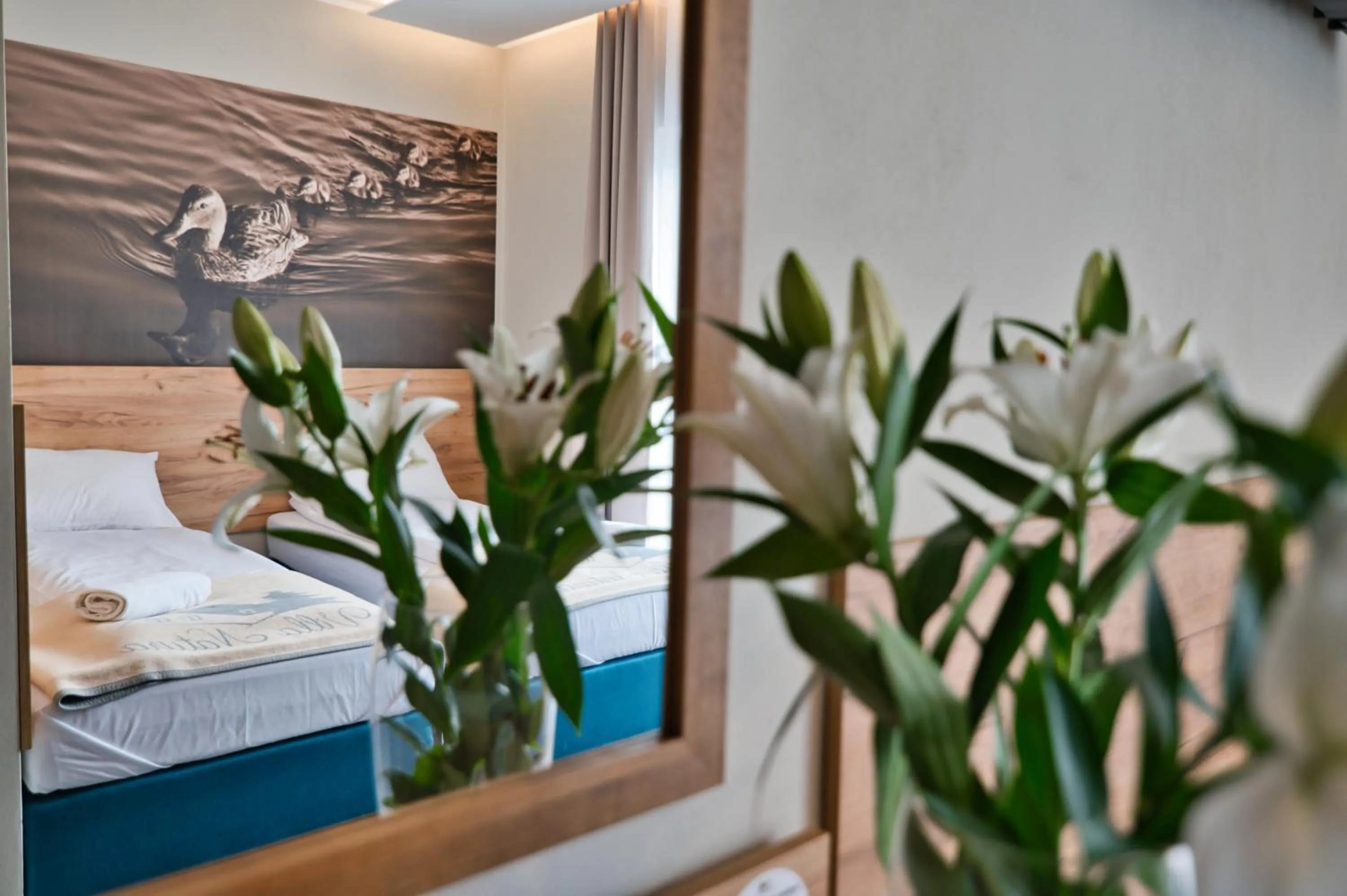 Villa Natura Zator Przeciszów