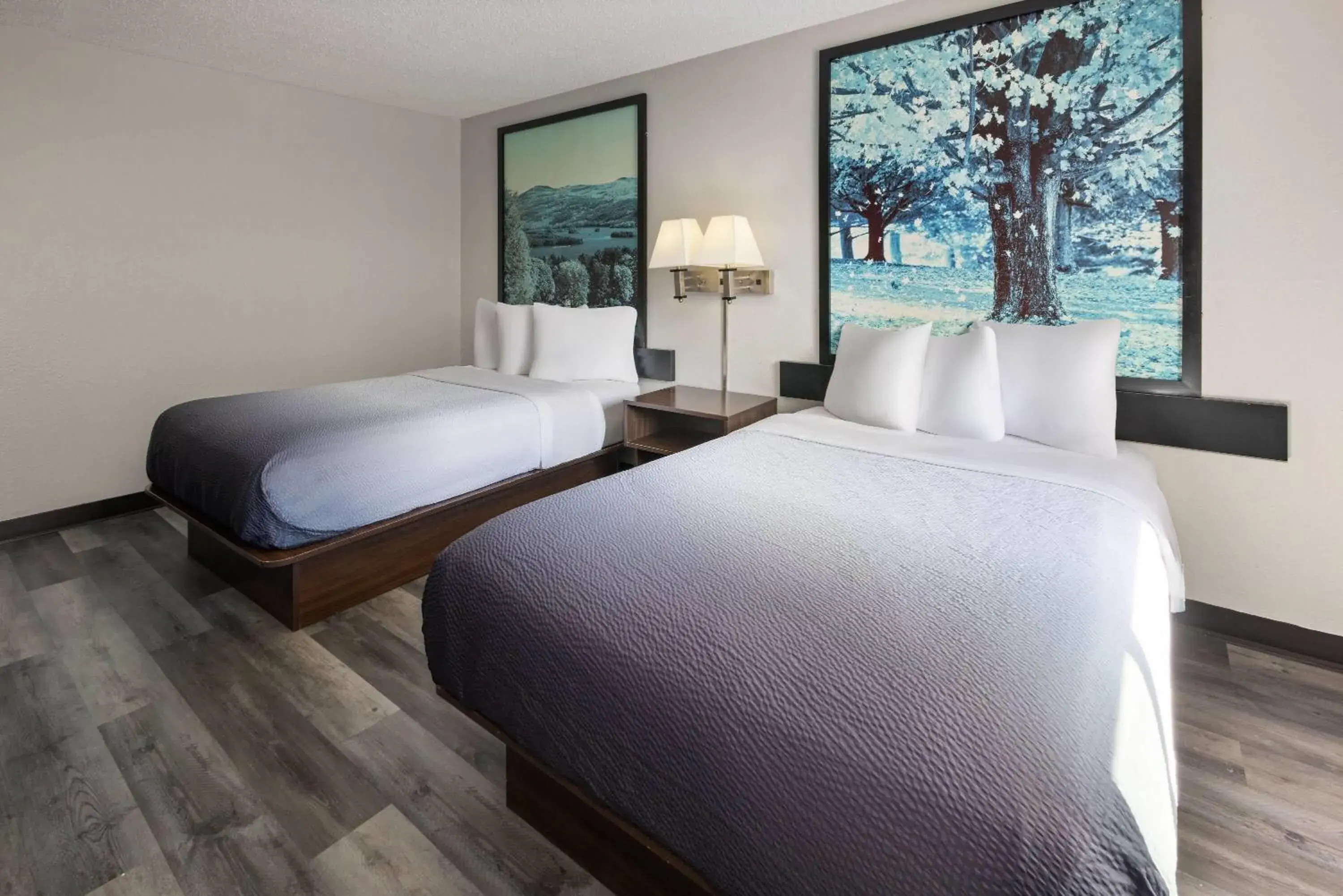 Photo of the whole room, Bed in Super 8 by Wyndham Latham - Albany Airport Photo of the whole room, Bed in Super 8 by Wyndham Latham - Albany Airport