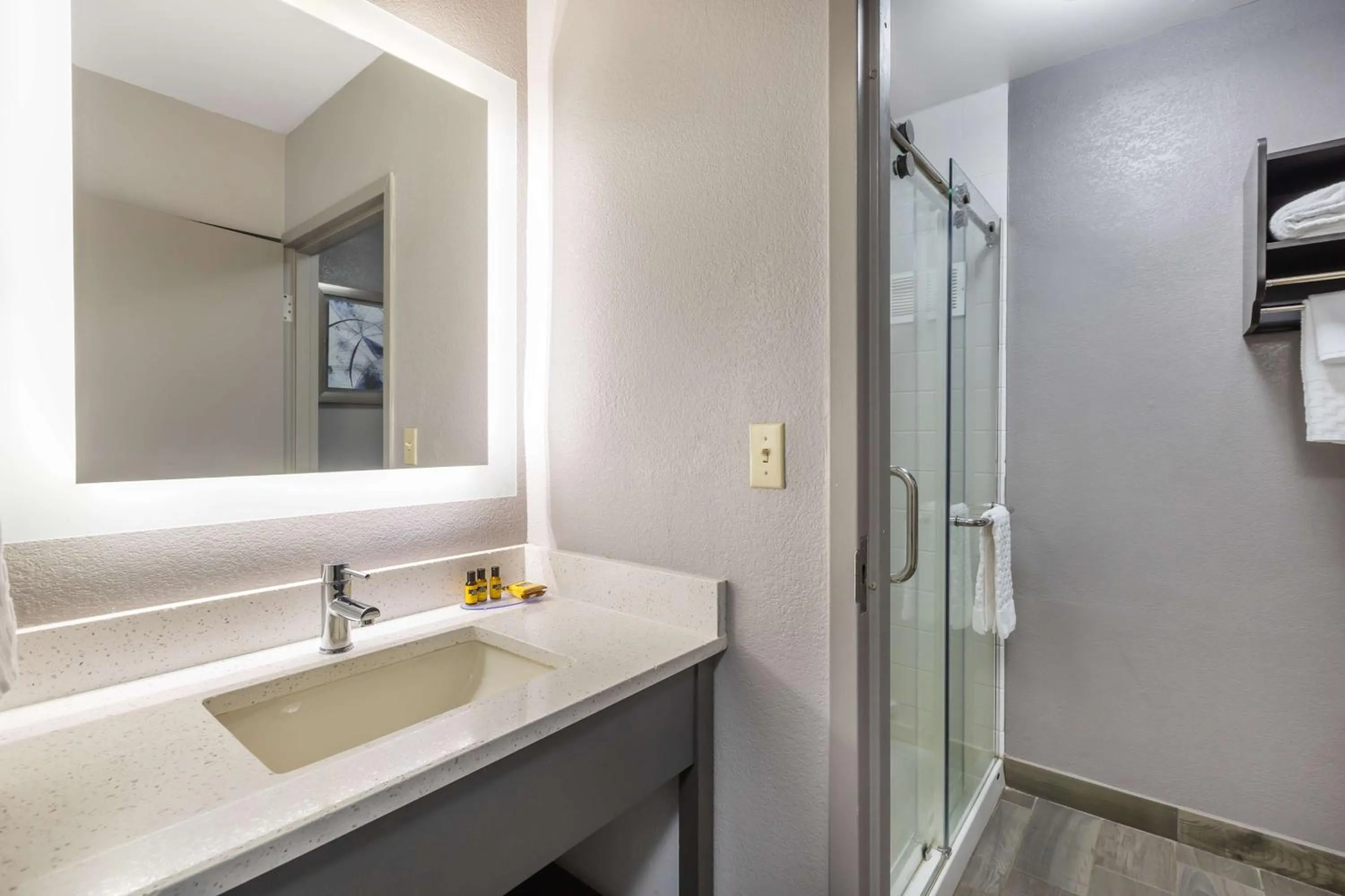 Bathroom in Best Western Plus Spartanburg