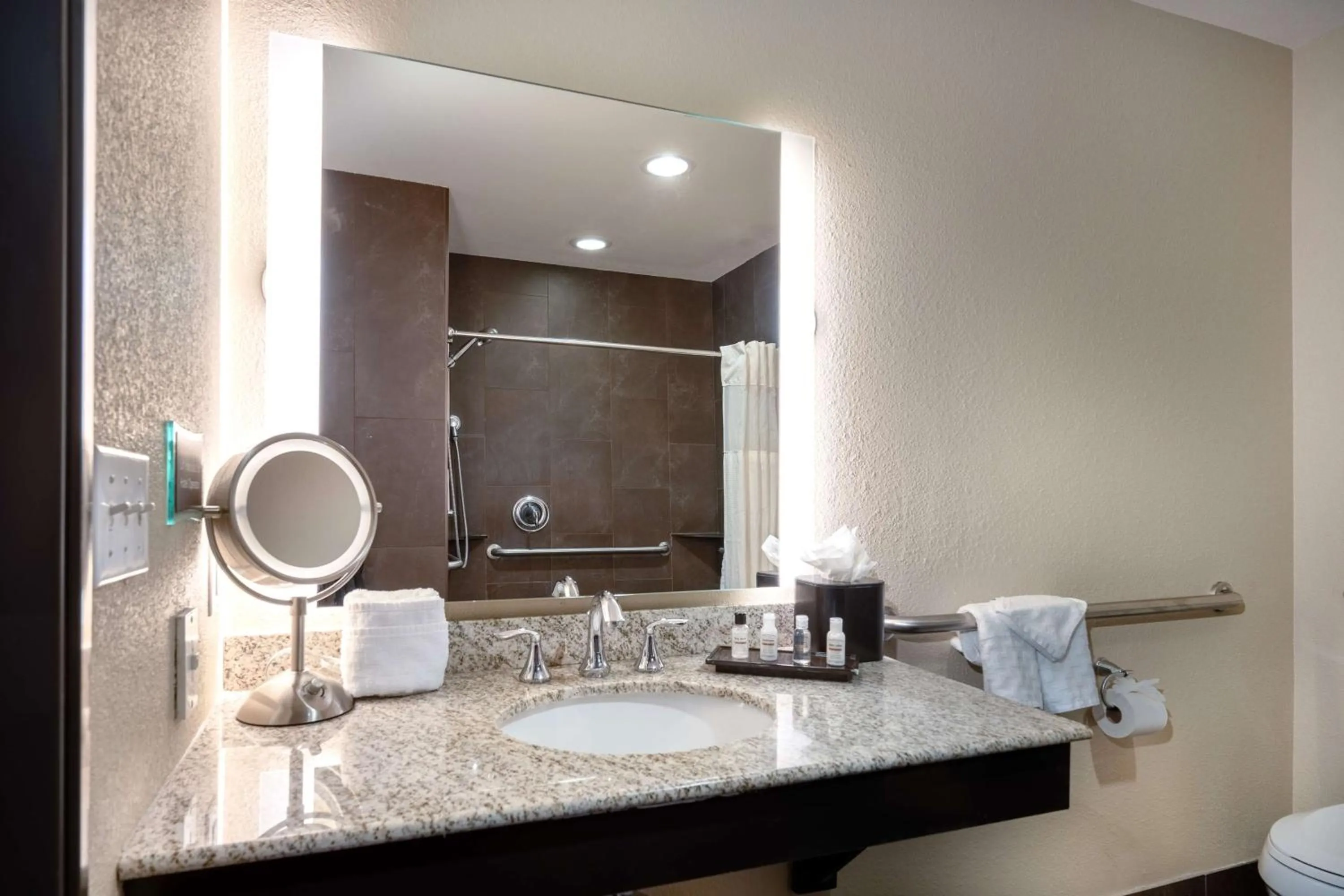 Bathroom in Best Western Premier Bryan College Station