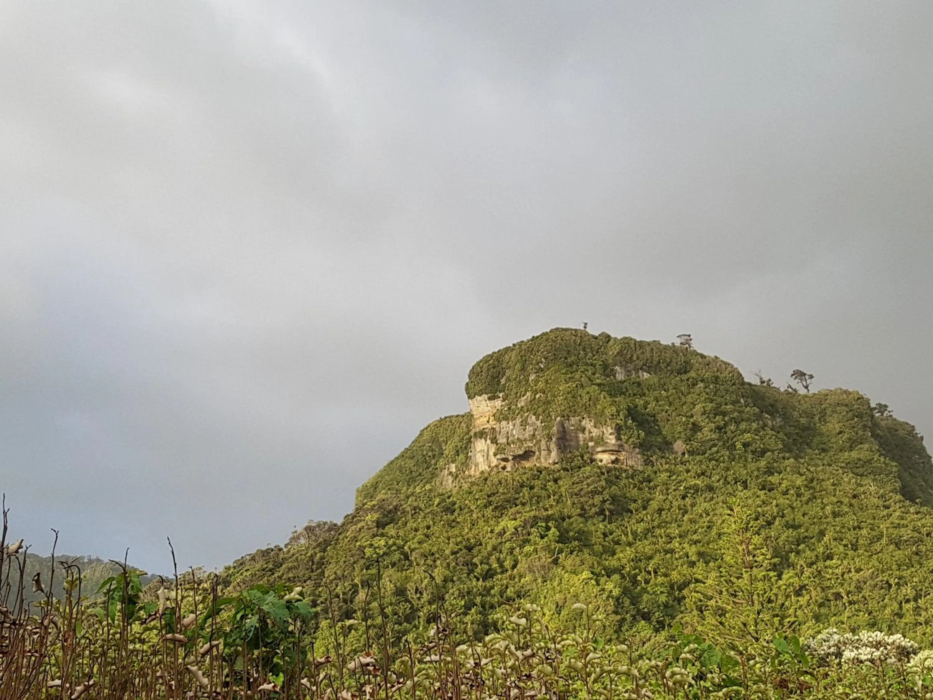 Nearby landmark in Punakaiki Rocks Hotel & Garden Bar