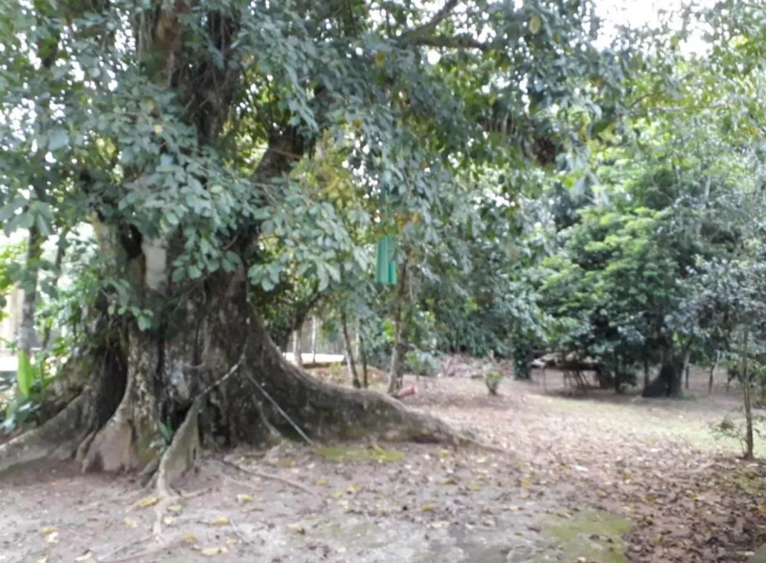 Alegria casa 3 dorms Cond Fechado churrasqueira piscina