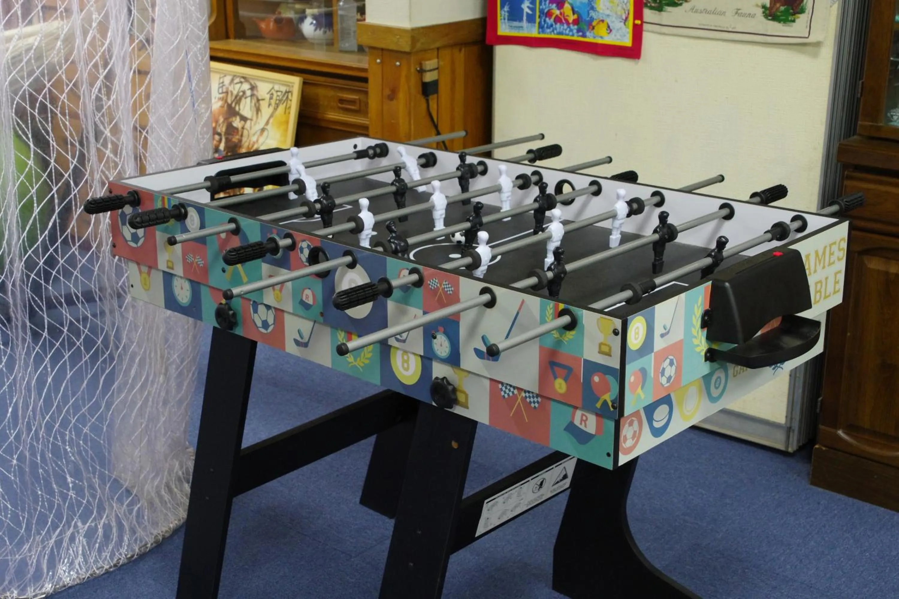 Game Room in Hakuba Ski-Kan