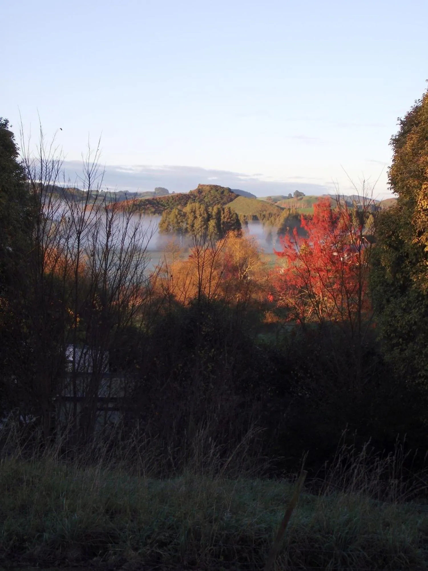 Area and facilities in Caves Motor Inn
