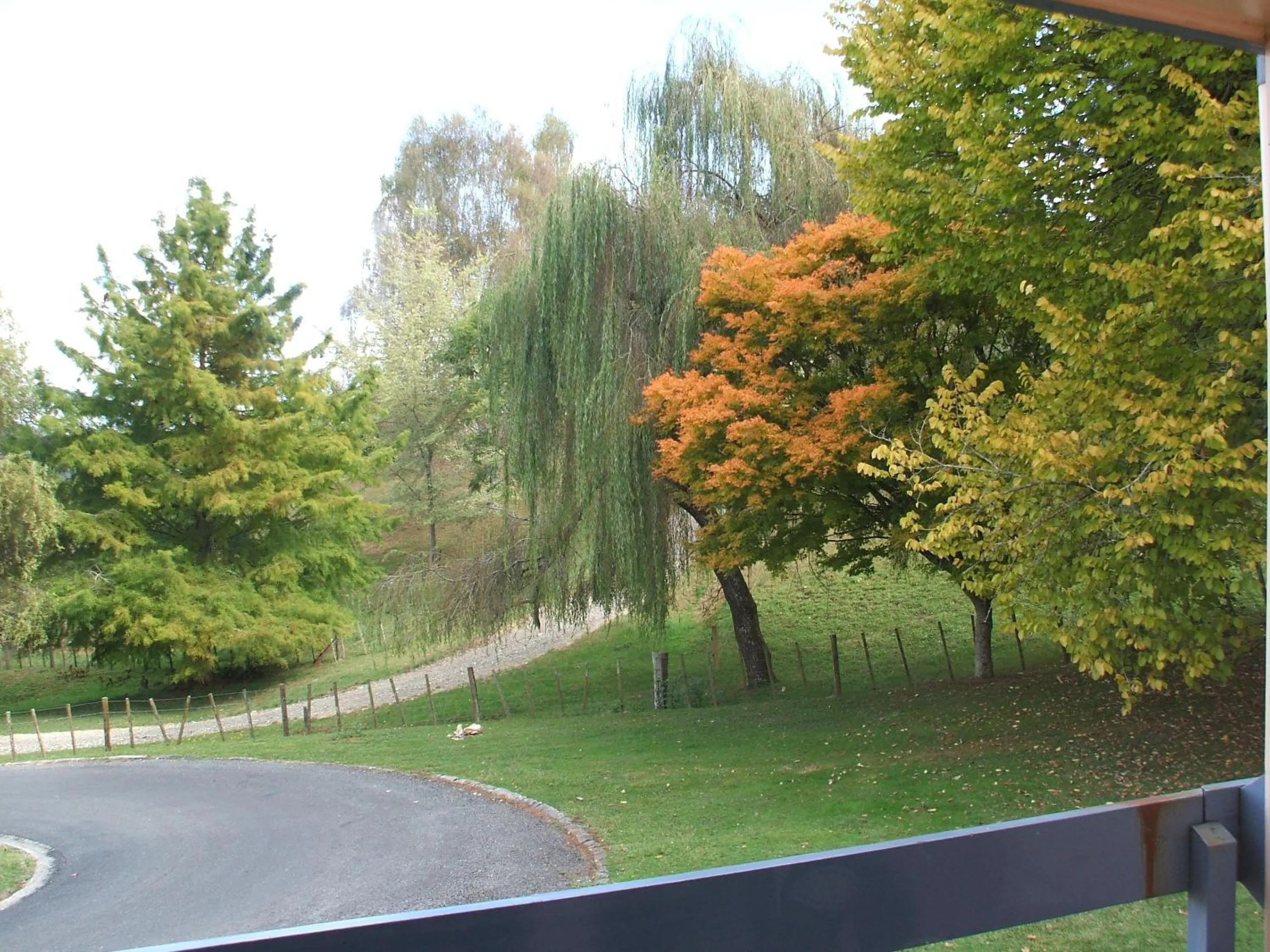 Area and facilities in Caves Motor Inn