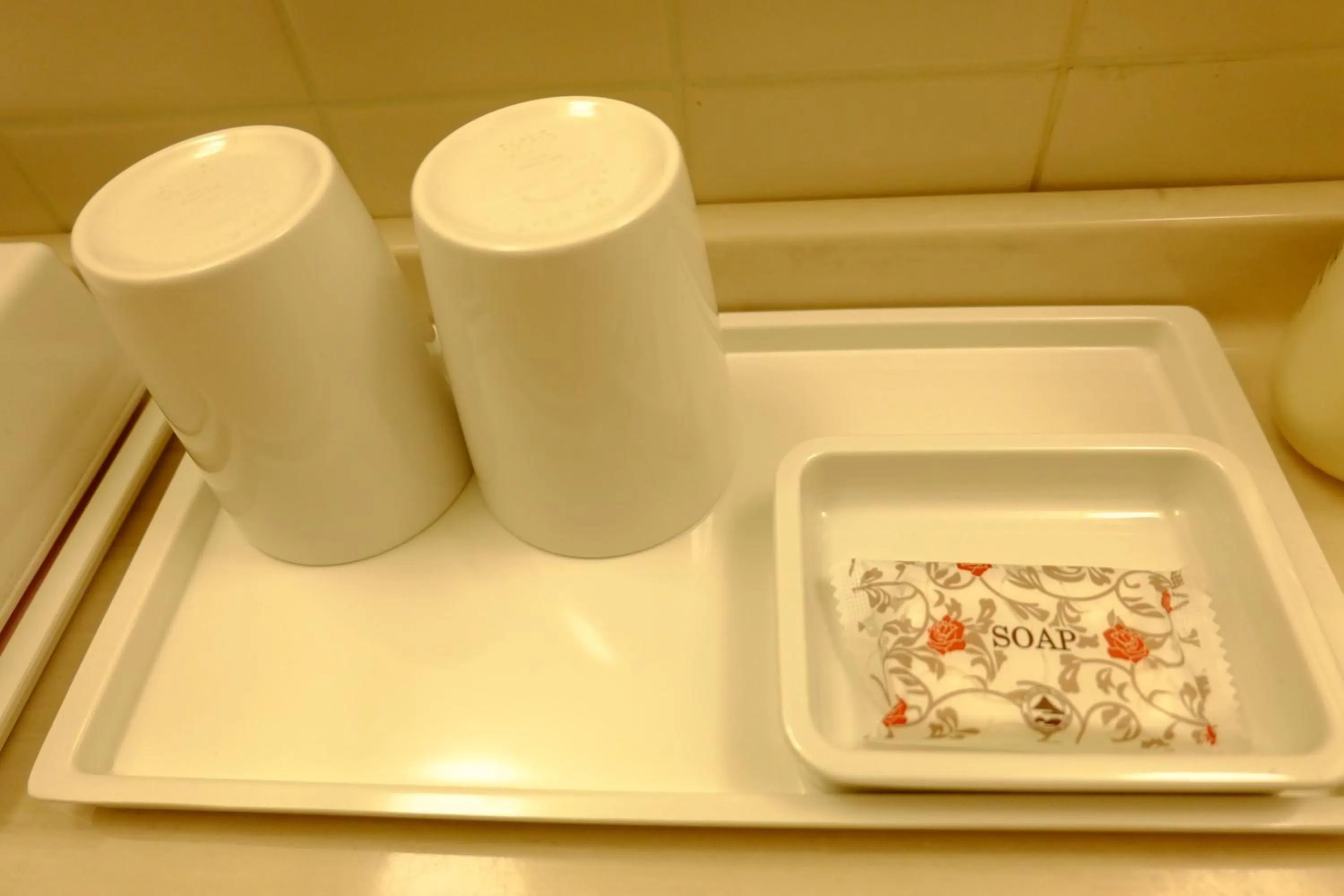 Other in Kofu Kinenbi Hotel