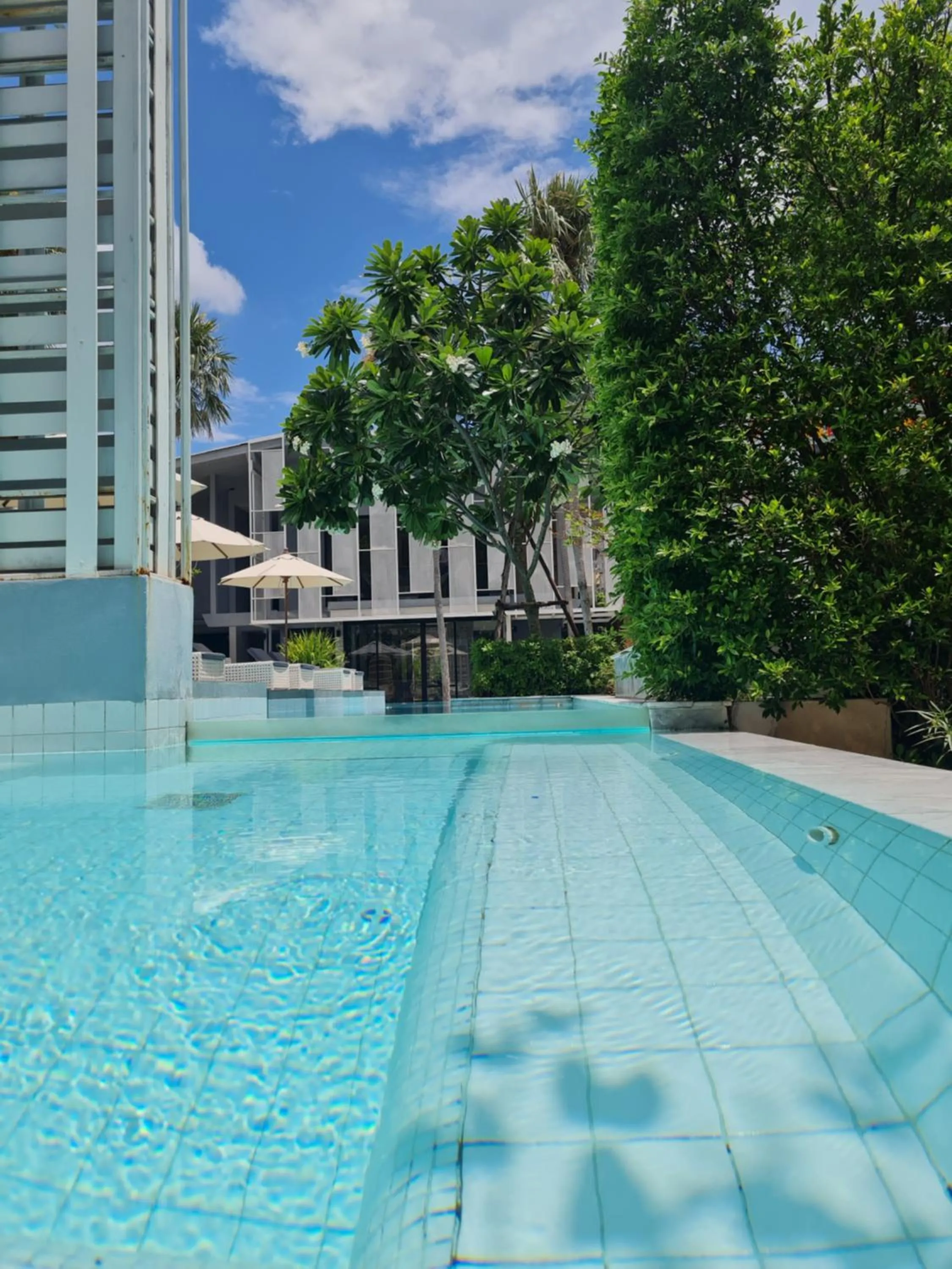Pool view in Treevana Club Chiangmai