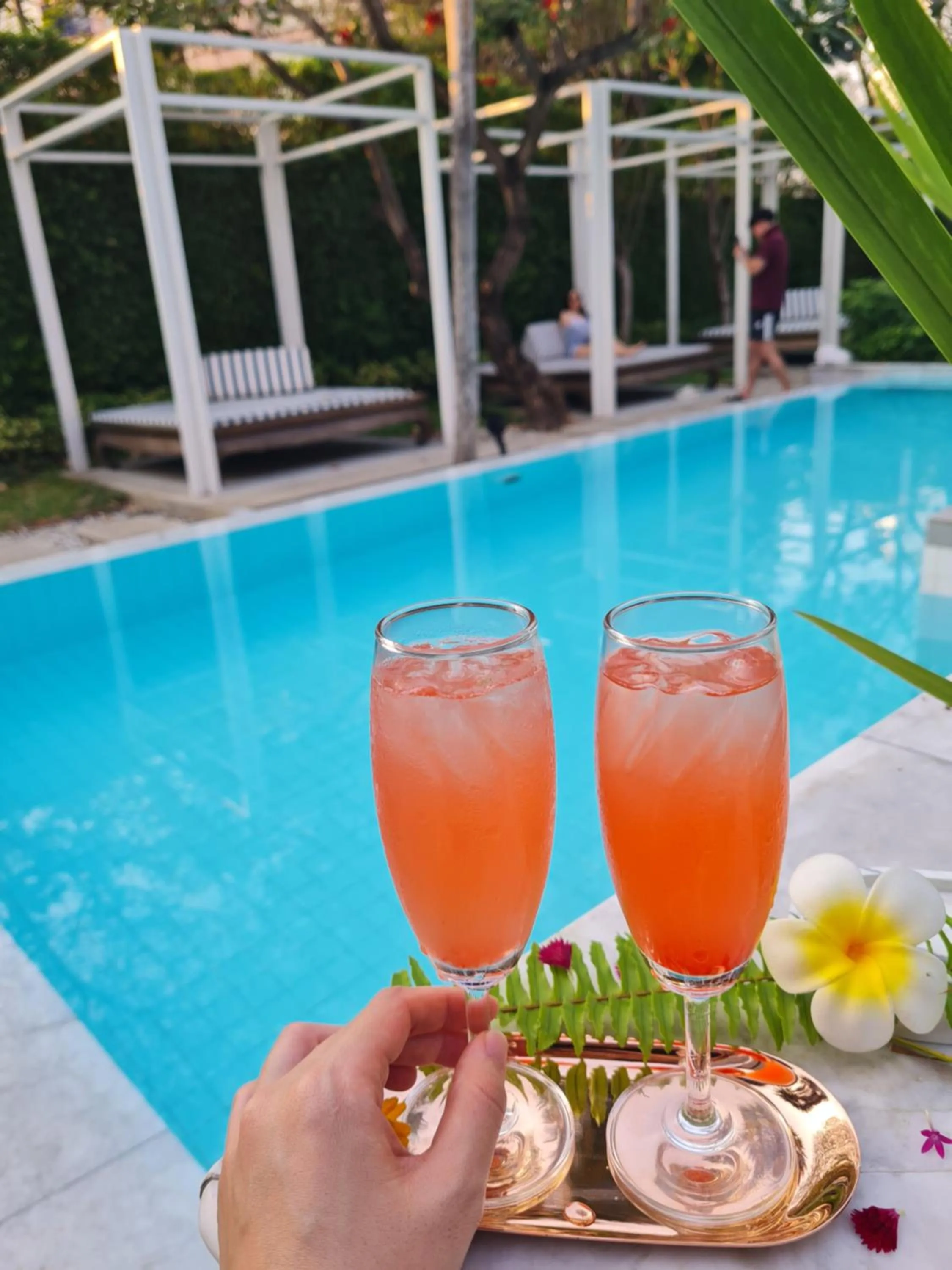 Garden in Treevana Club Chiangmai